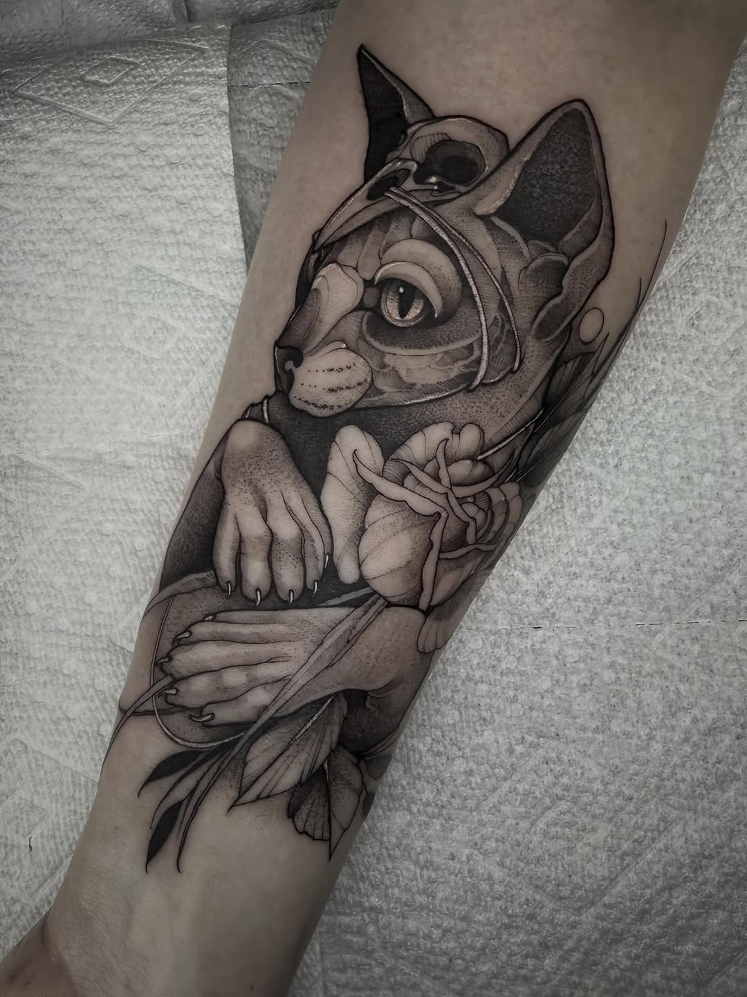 Tattoo by @cattblacktattoo — black_and_grey, realism