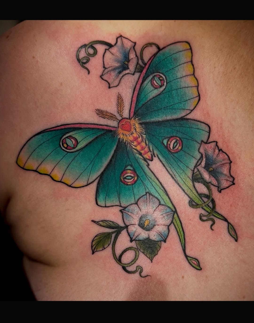 Tattoo by @amydooz — neo_traditional, realism