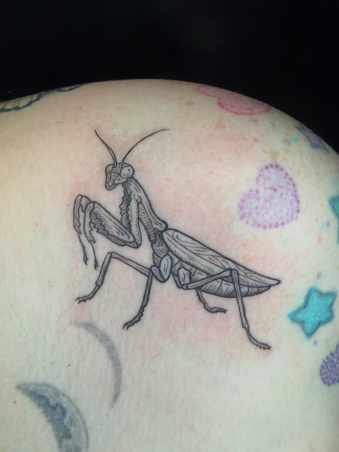 Tattoo by @honestbird — illustrative, black_and_grey