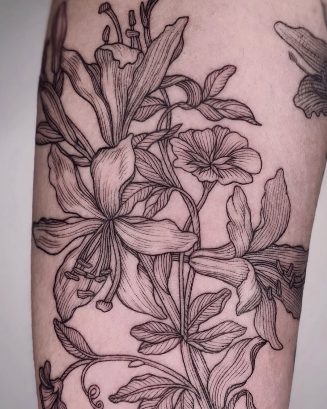 Tattoo by @noxttt โ fine_line