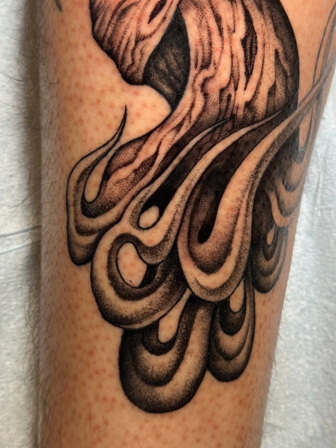 Tattoo by @jaredsharp.ink — dotwork, black_and_grey