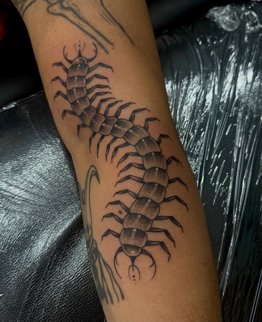 Tattoo by @honey_.ink_ — black_and_grey, realism