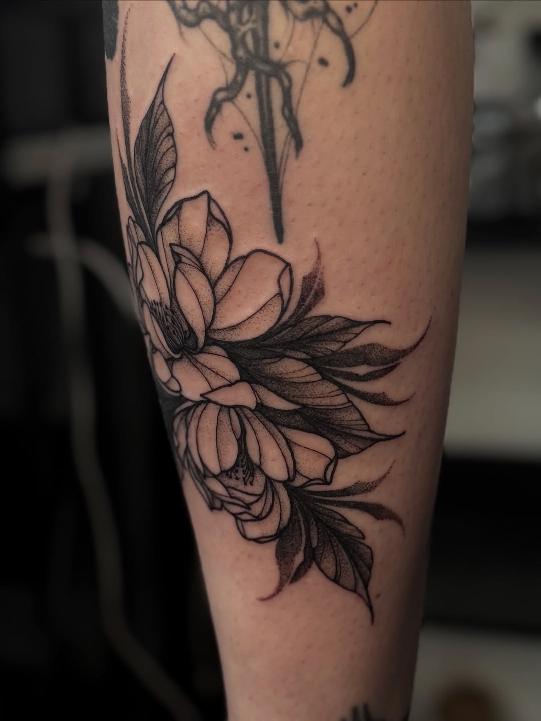 Tattoo by @porcelain_tats — black_and_grey, dotwork