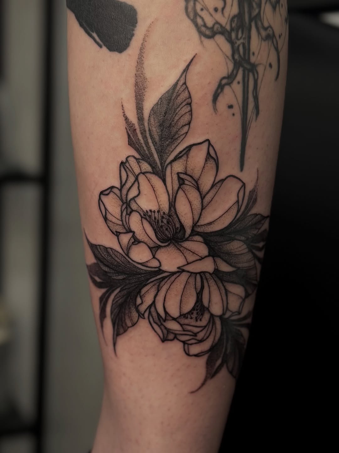Tattoo by @porcelain_tats — black_and_grey, dotwork