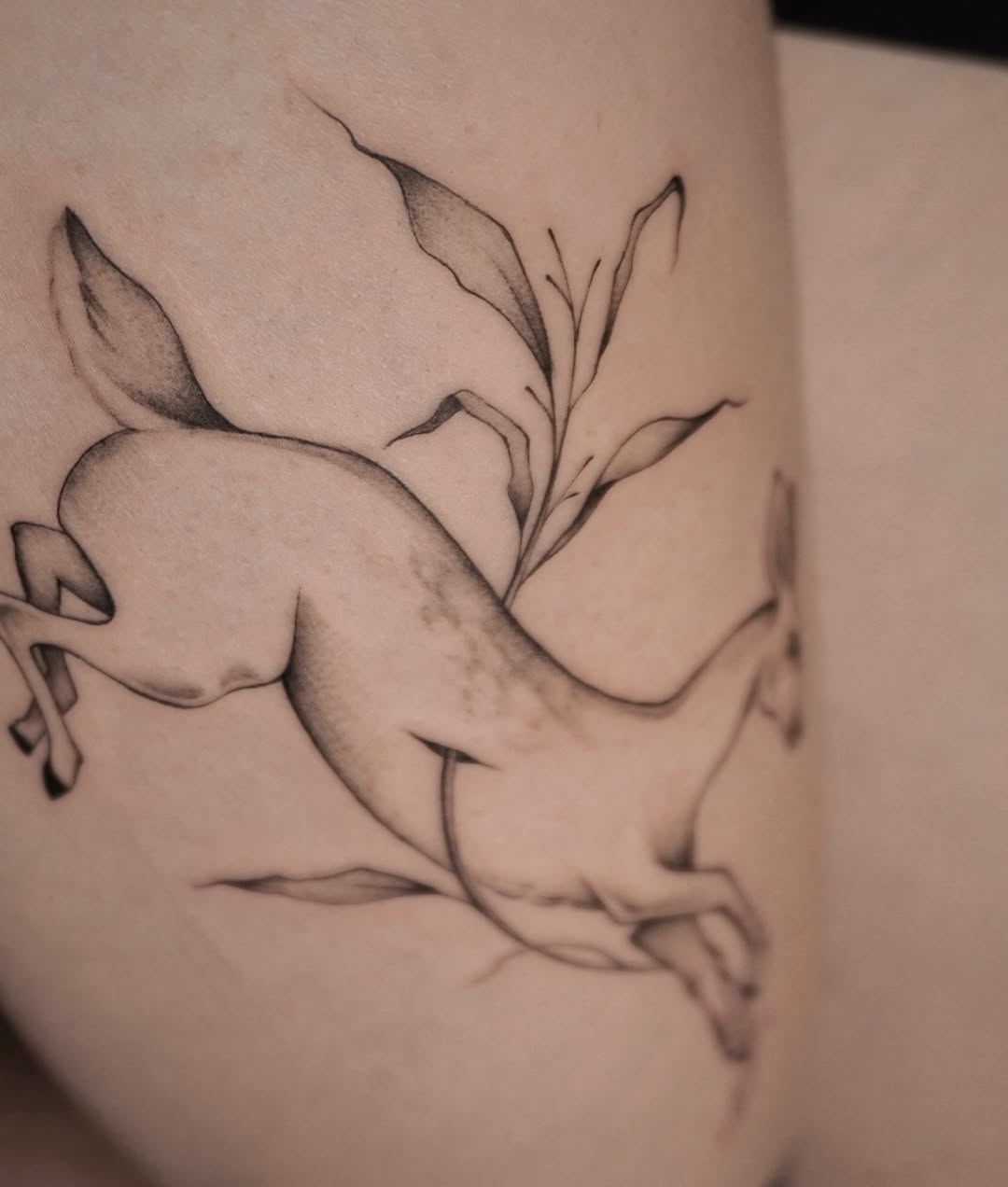Tattoo by @ayalas._.ink — fine_line, illustrative