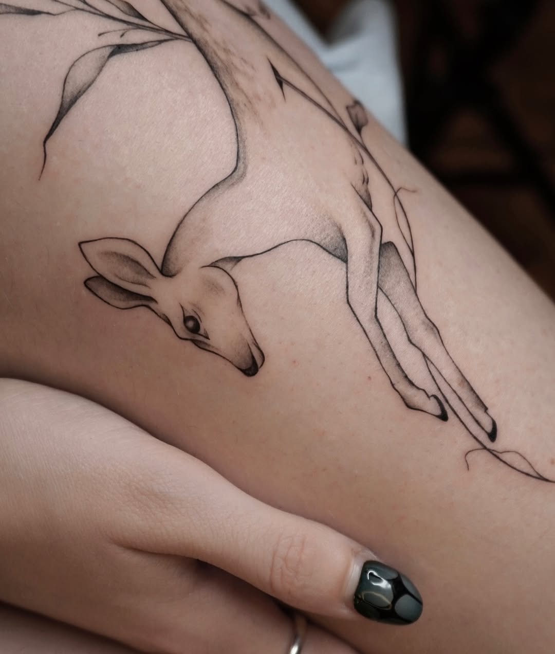 Tattoo by @ayalas._.ink — fine_line, illustrative