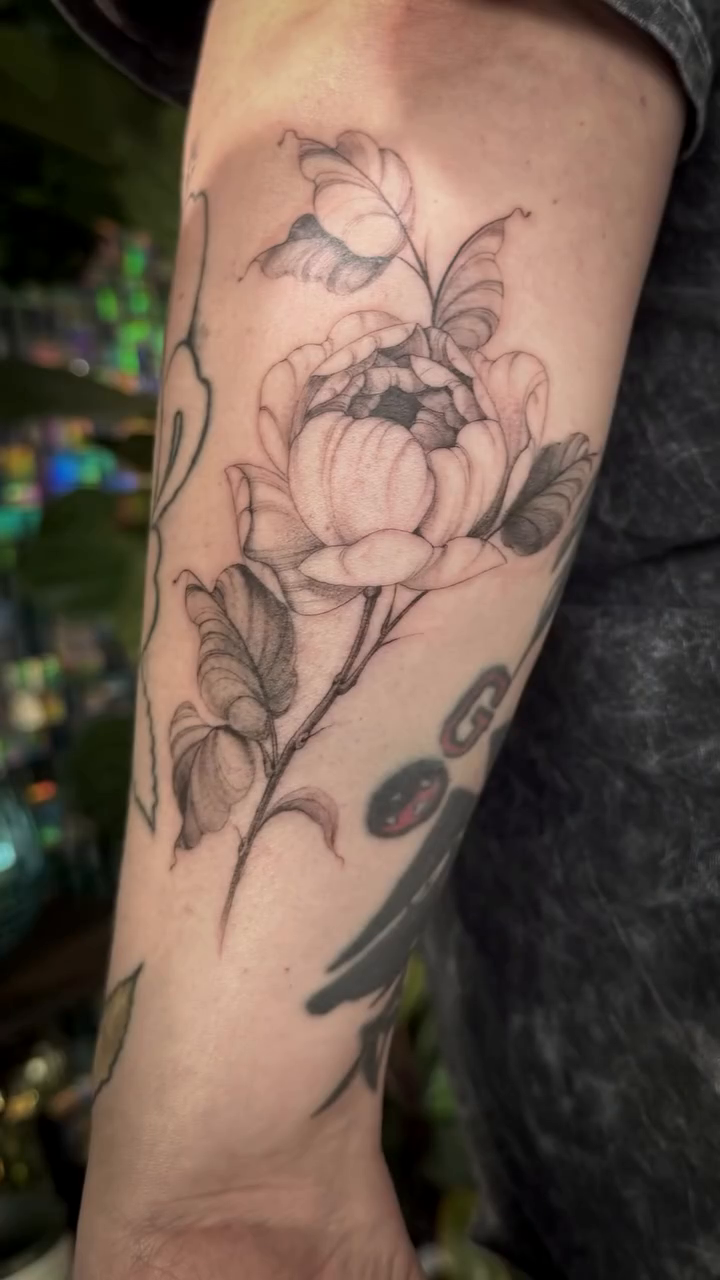 Tattoo by @nadias.tattoos — fine_line, black_and_grey
