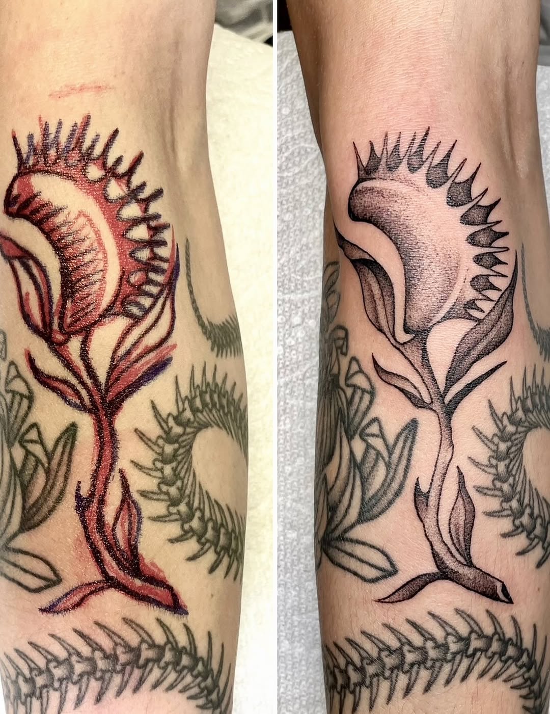 Tattoo by @meganlee.tattoo — dotwork, black_and_grey