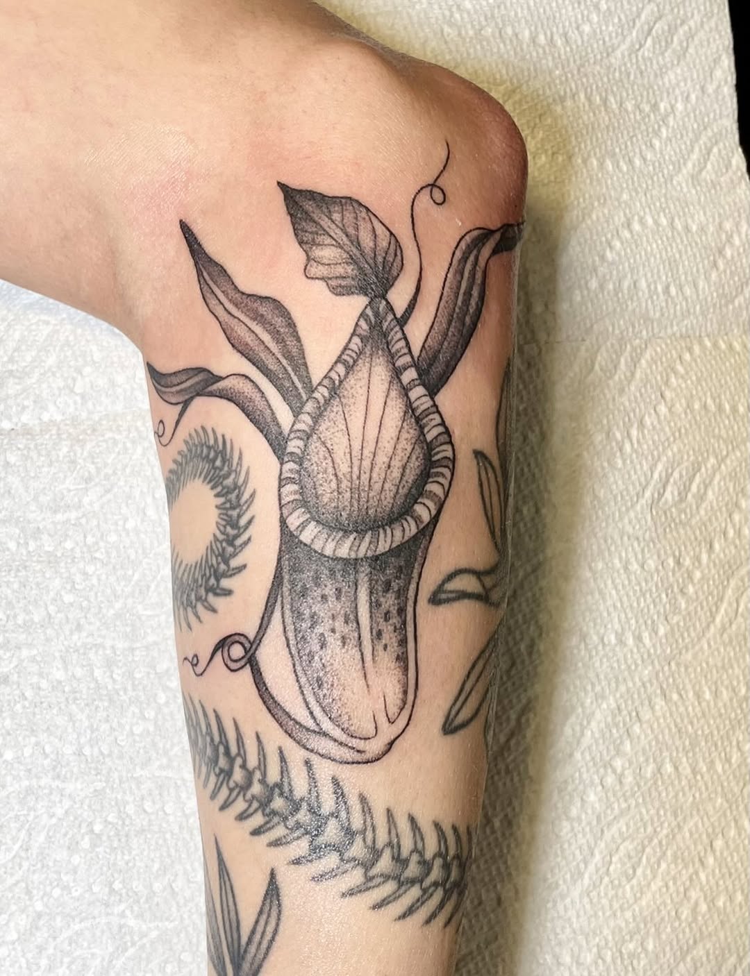 Tattoo by @meganlee.tattoo — black_and_grey, dotwork