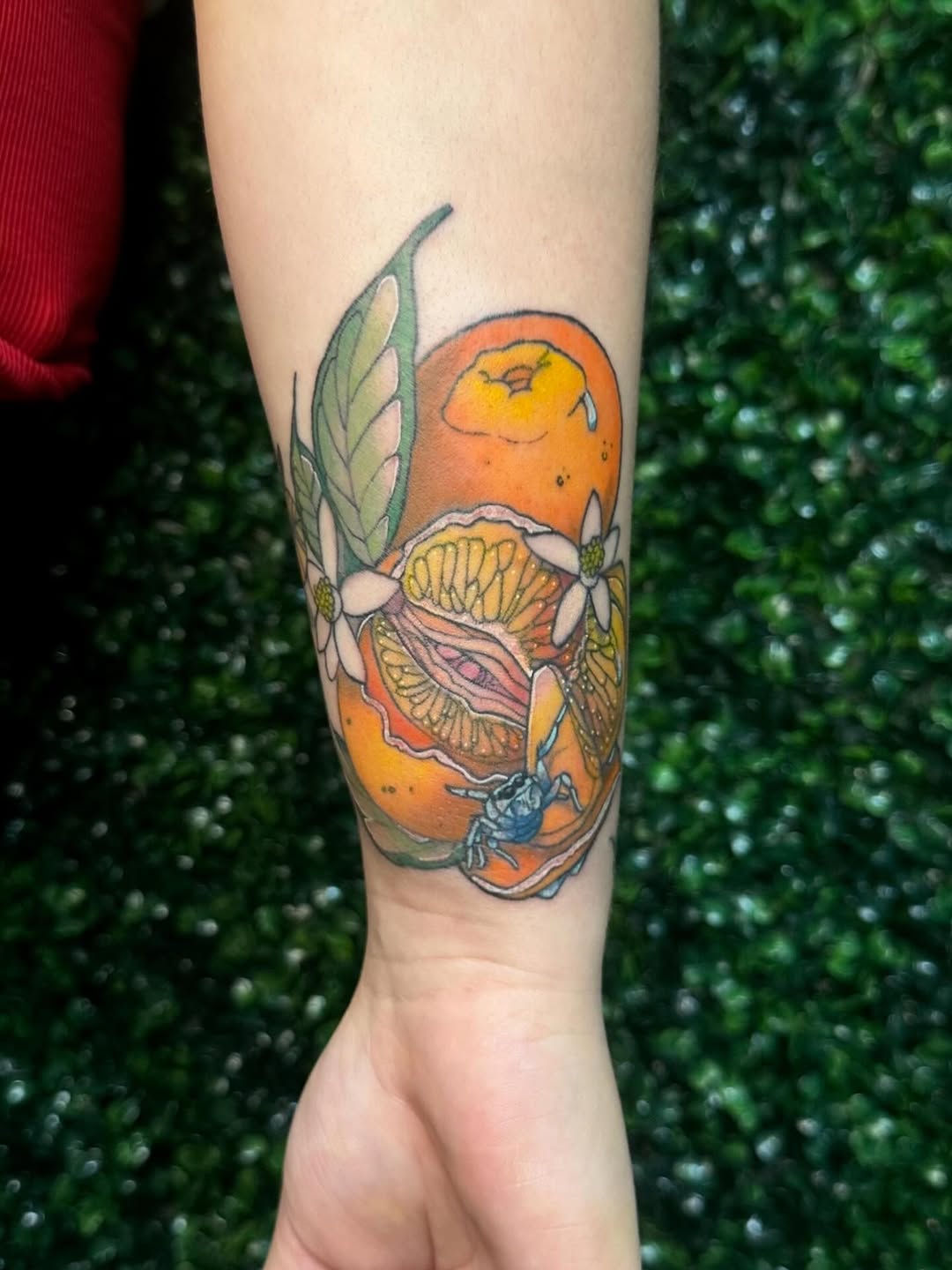 Tattoo by @livv_tattoos — new_school, illustrative
