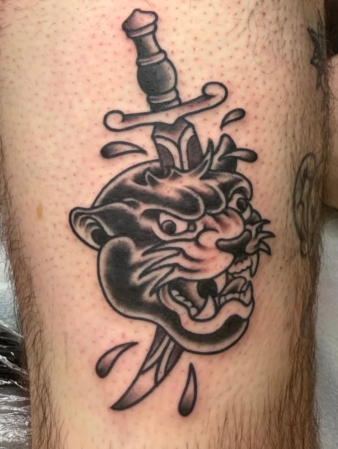 Tattoo by @kumathetattooer — american_traditional