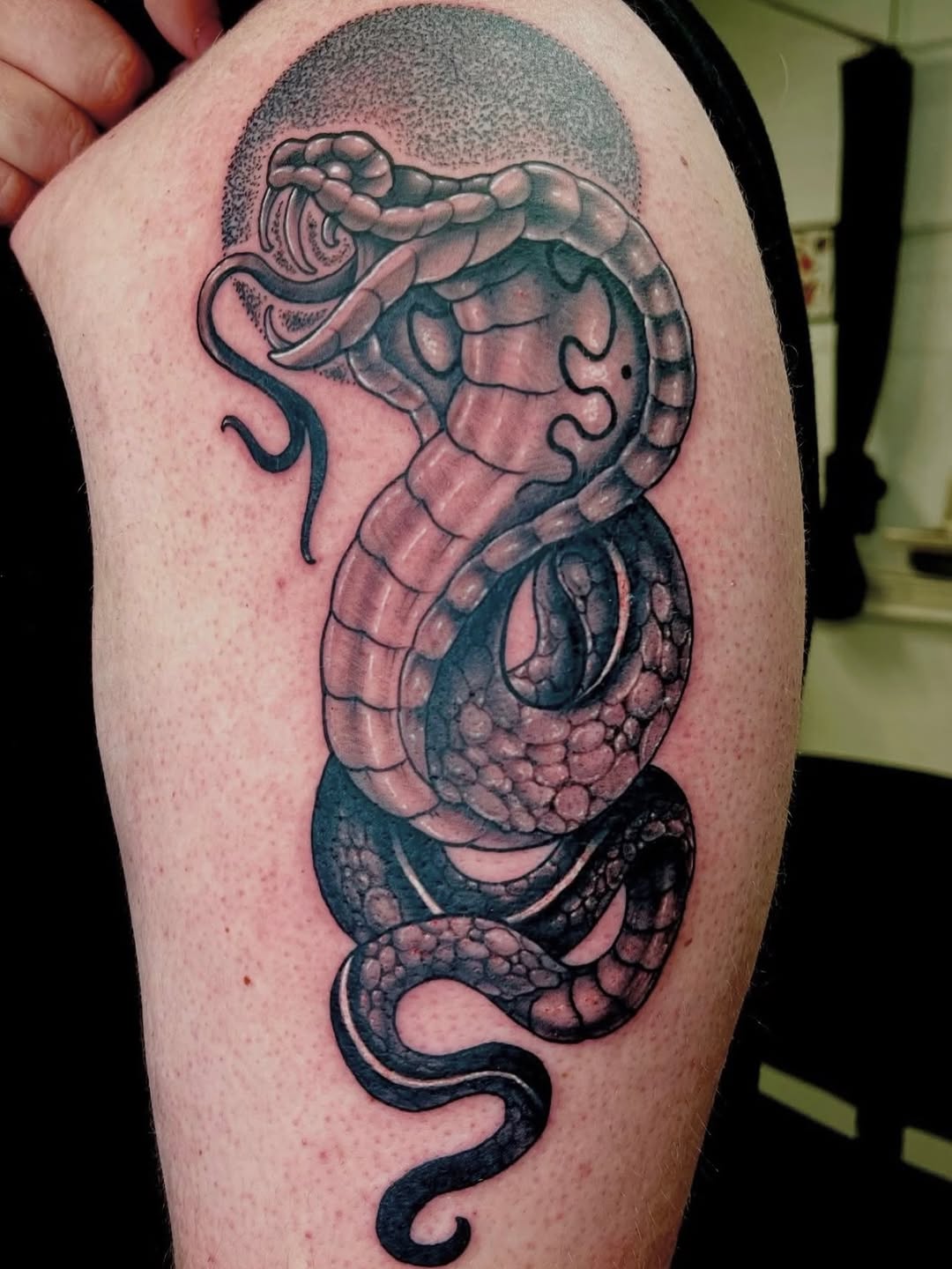Tattoo by @kumathetattooer — black_and_grey, realism