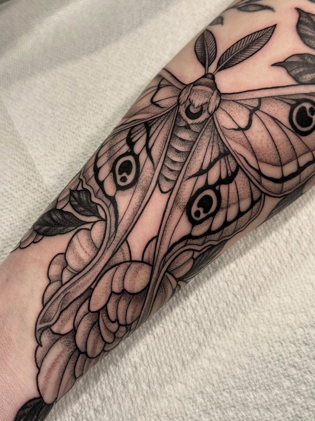 Tattoo by @jennietiesman — black_and_grey, dotwork