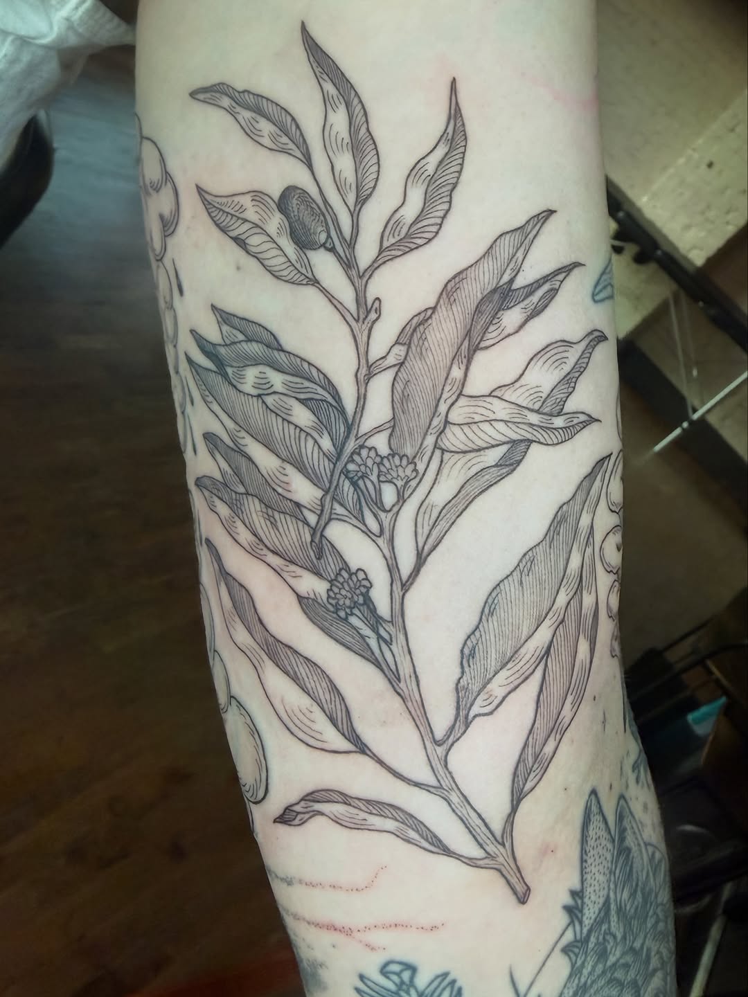 Tattoo by @honestbird — illustrative, black_and_grey