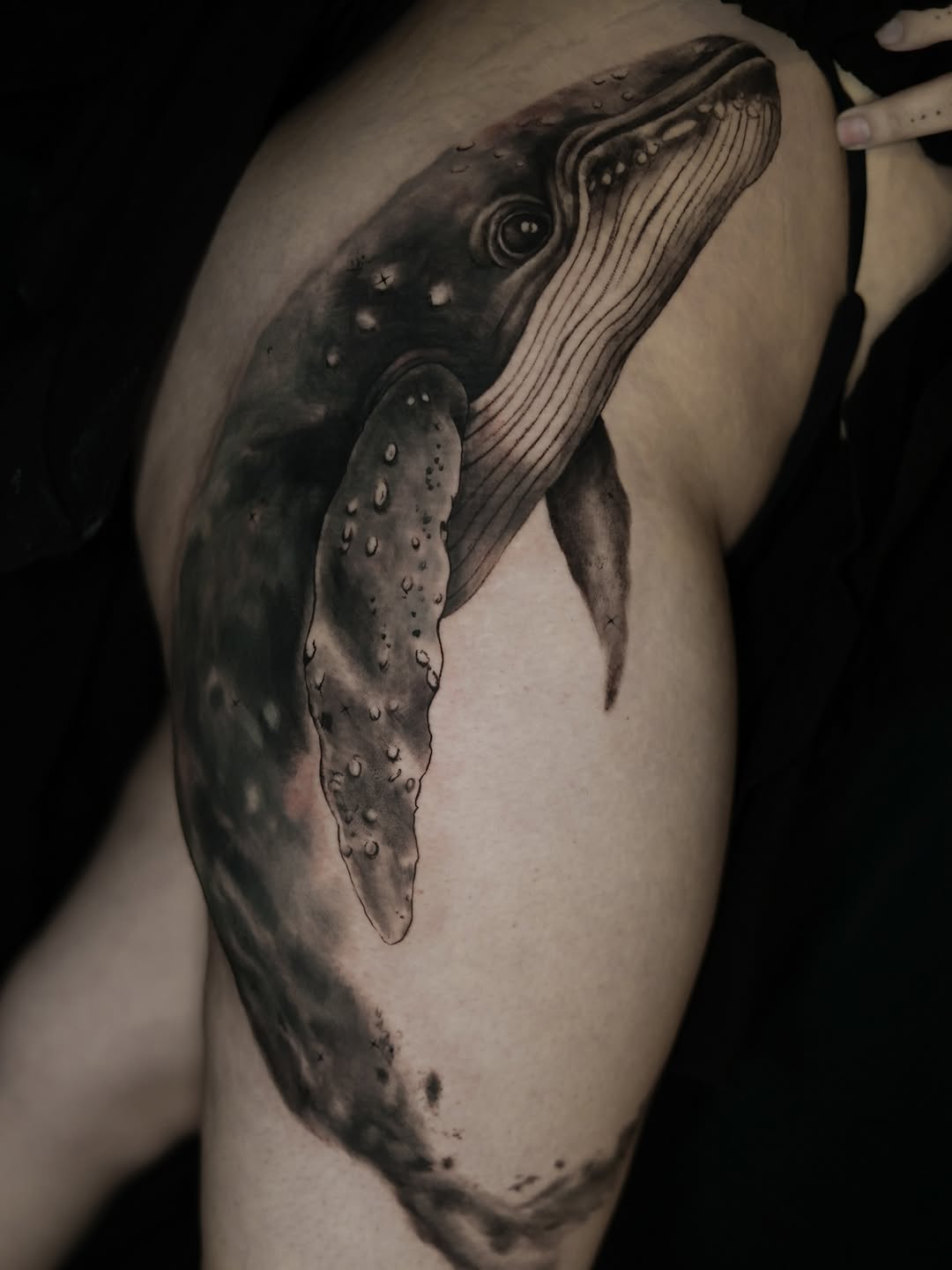 Tattoo by @storm_tattooart — realism, black_and_grey