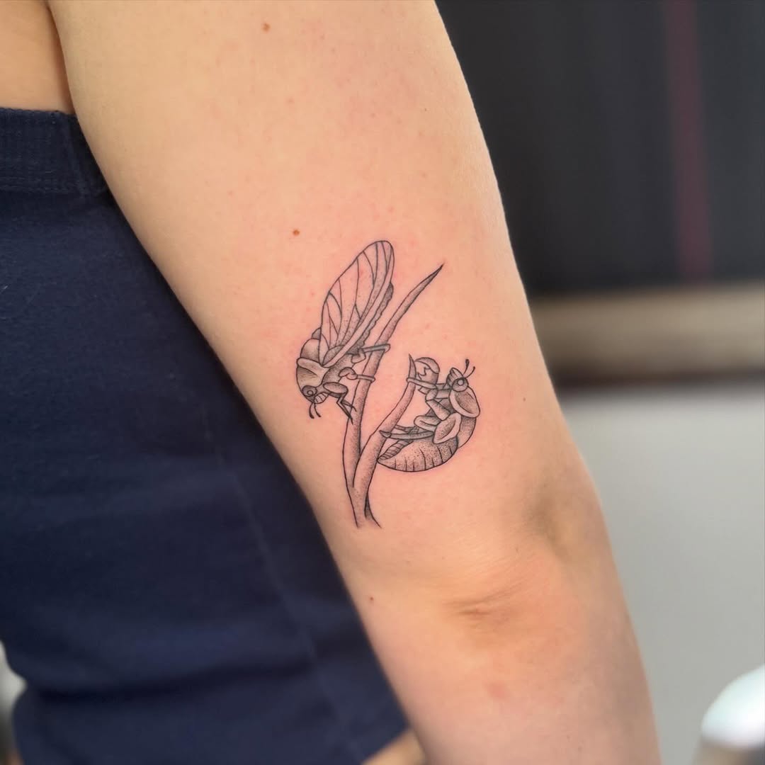 Tattoo by @felicitytattoos — black_and_grey