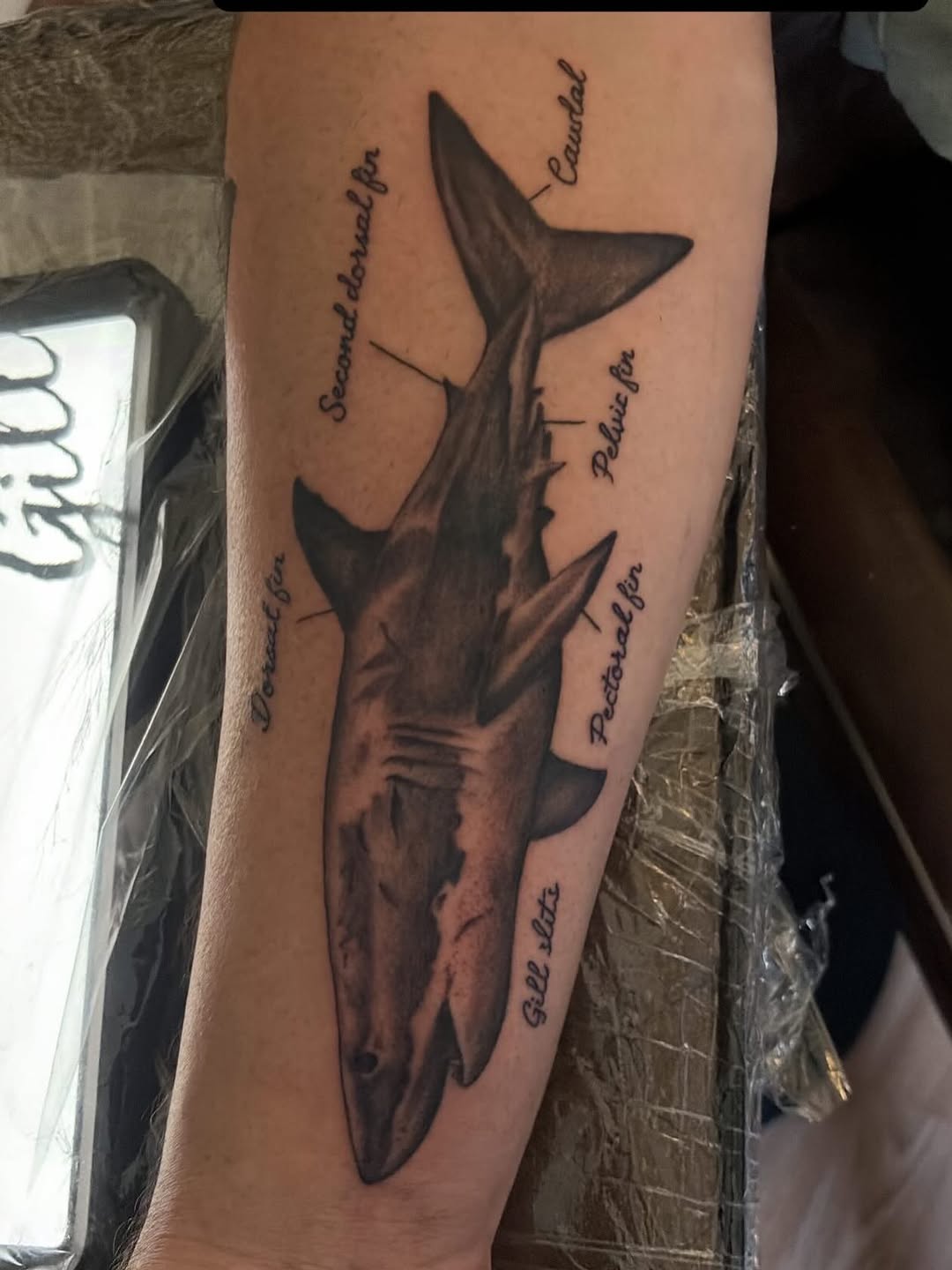 Tattoo by @tobiaztattooz — realism, lettering_script