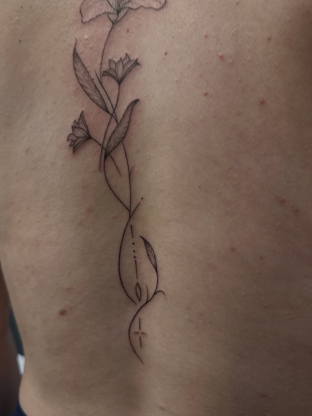 Tattoo by @piccolino_tattoo — fine_line