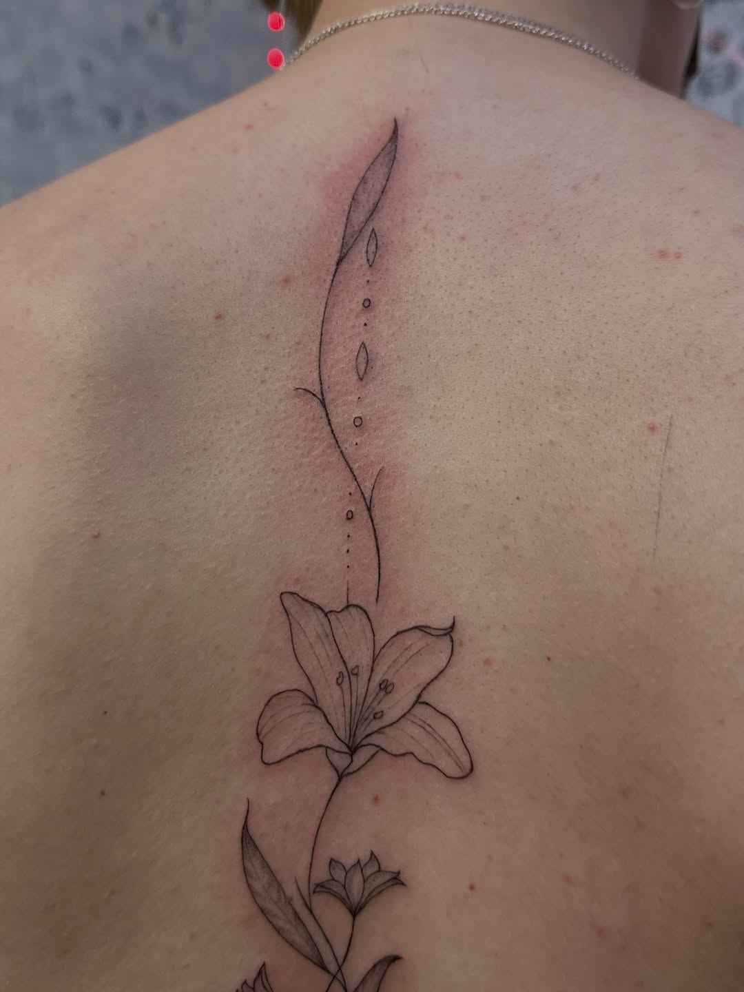 Tattoo by @piccolino_tattoo — fine_line