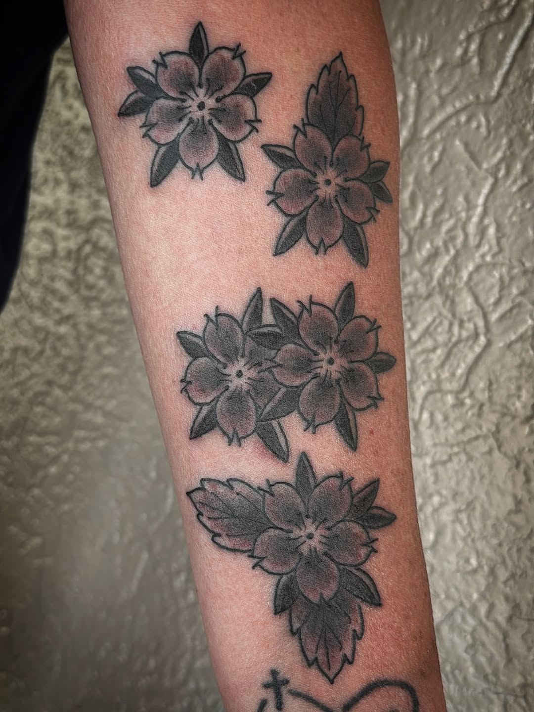 Tattoo by @_tatzilla_ — american_traditional
