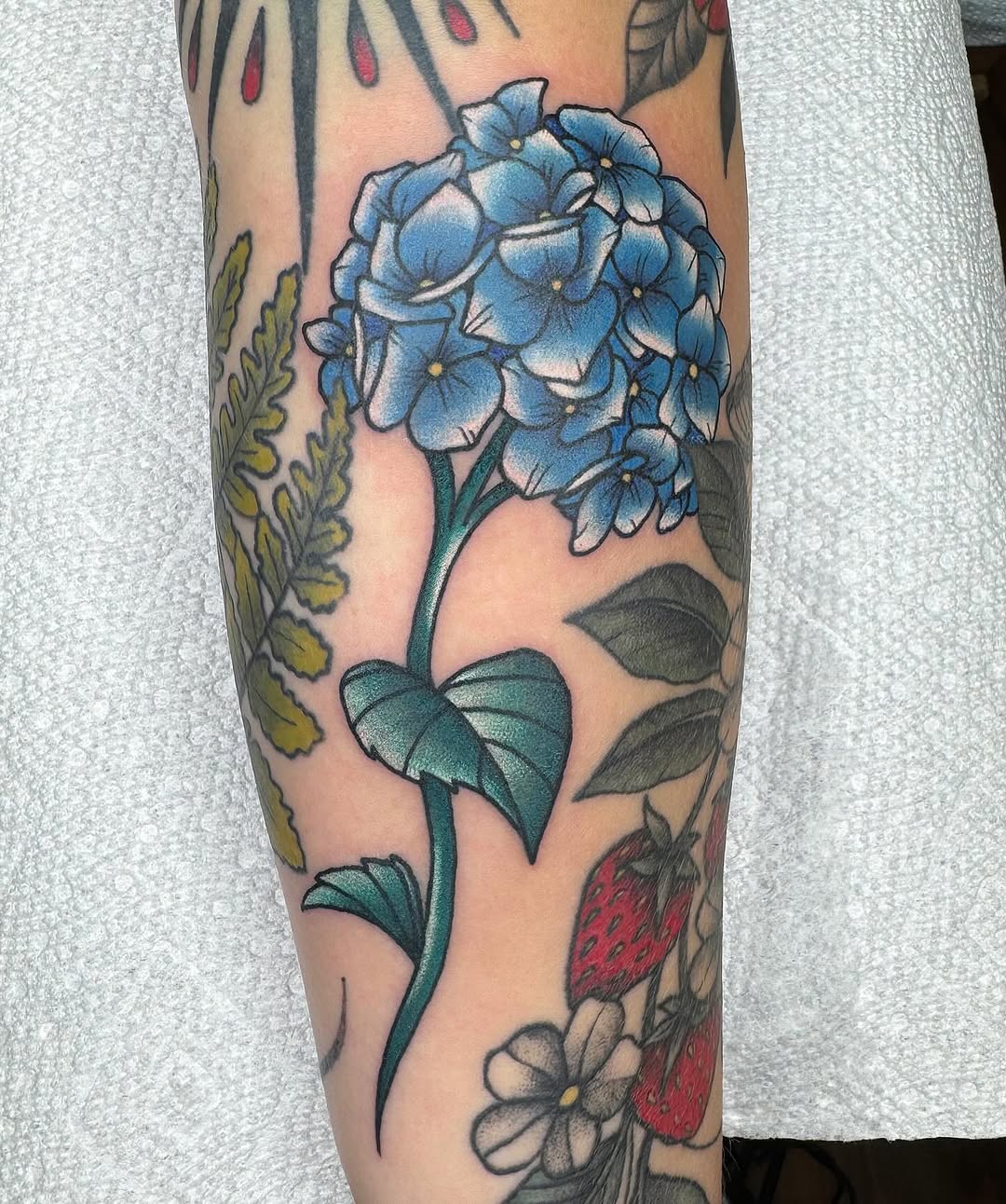 Tattoo by @shan.stabs — neo_traditional, realism