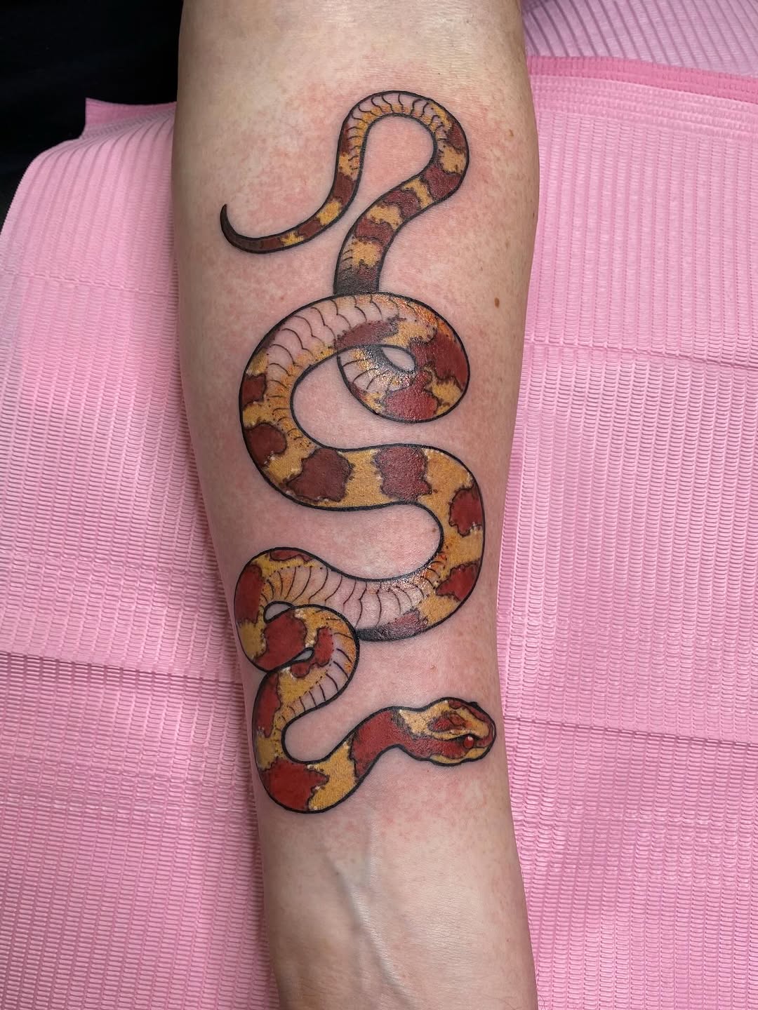 Tattoo by @kaitlin.tattoos — american_traditional, illustrative
