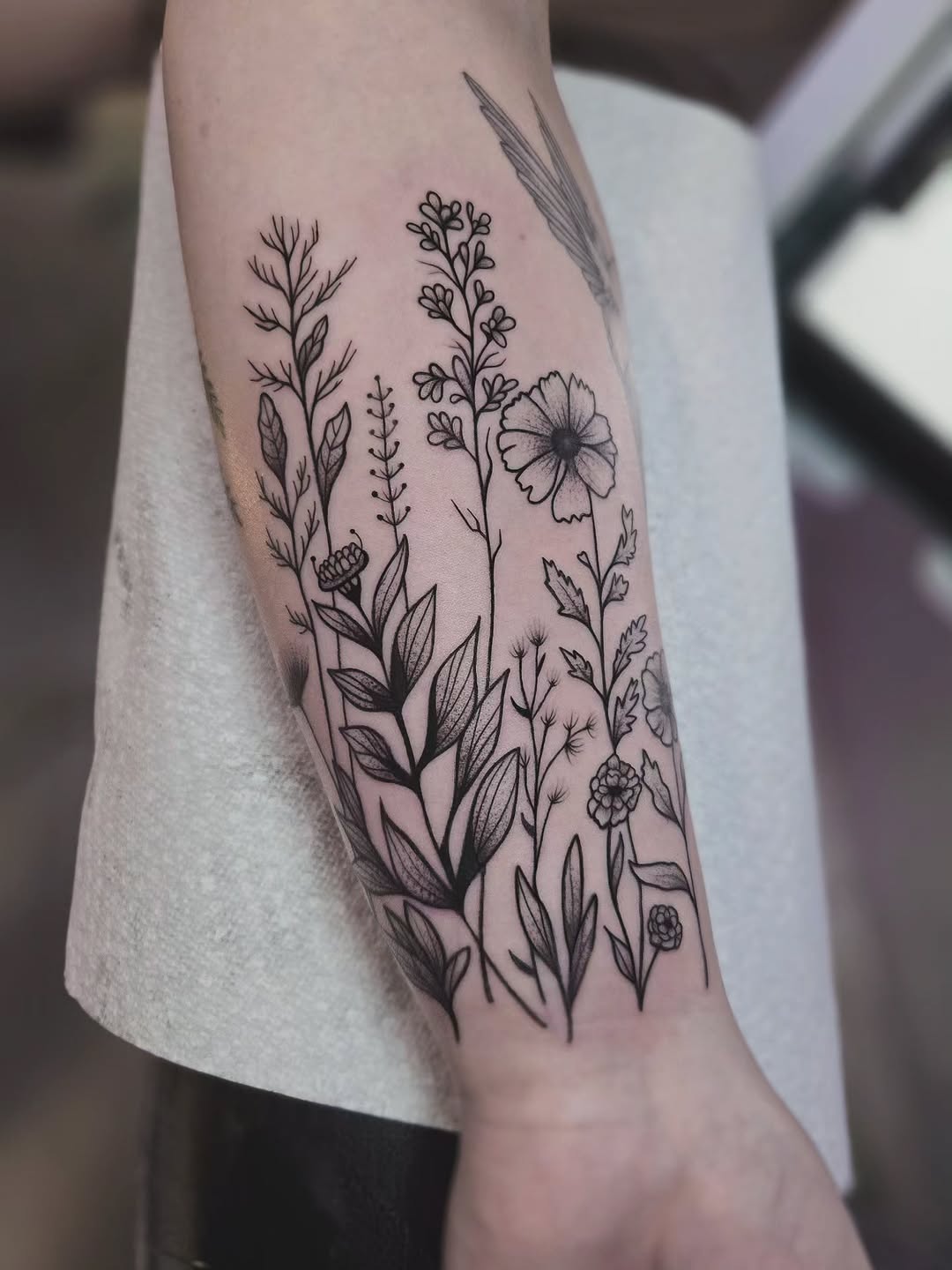 Tattoo by @kirstielewtattoo β fine_line