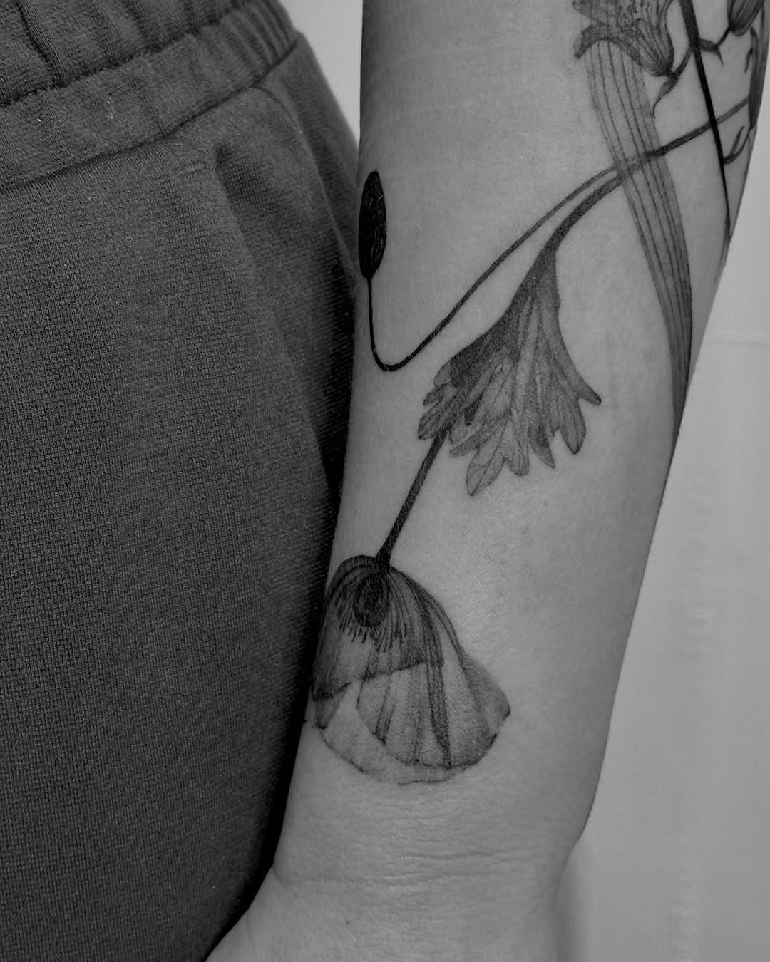 Tattoo by @heeyatattoo — black_and_grey, realism