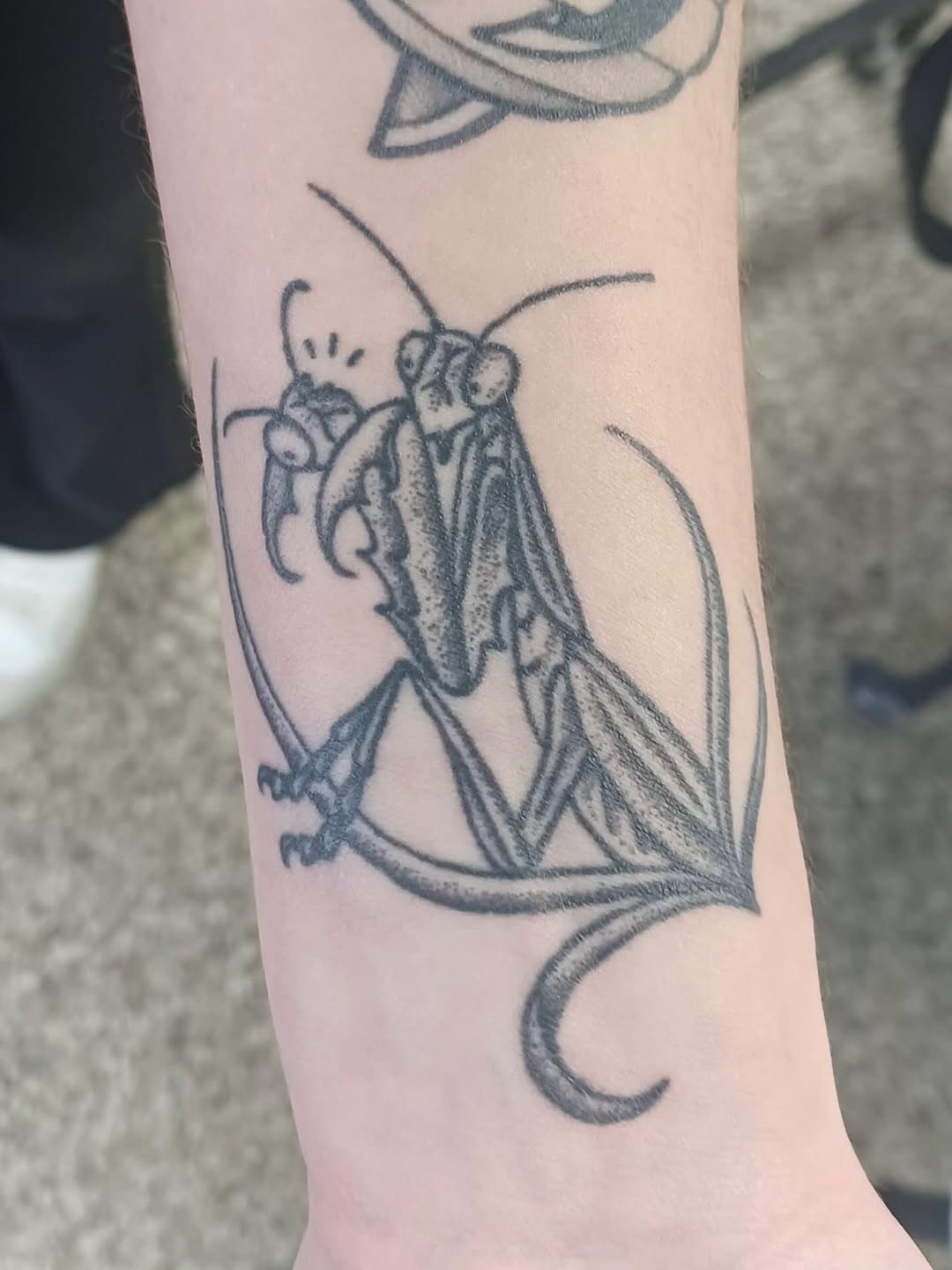 Tattoo by @stabinks — black_and_grey