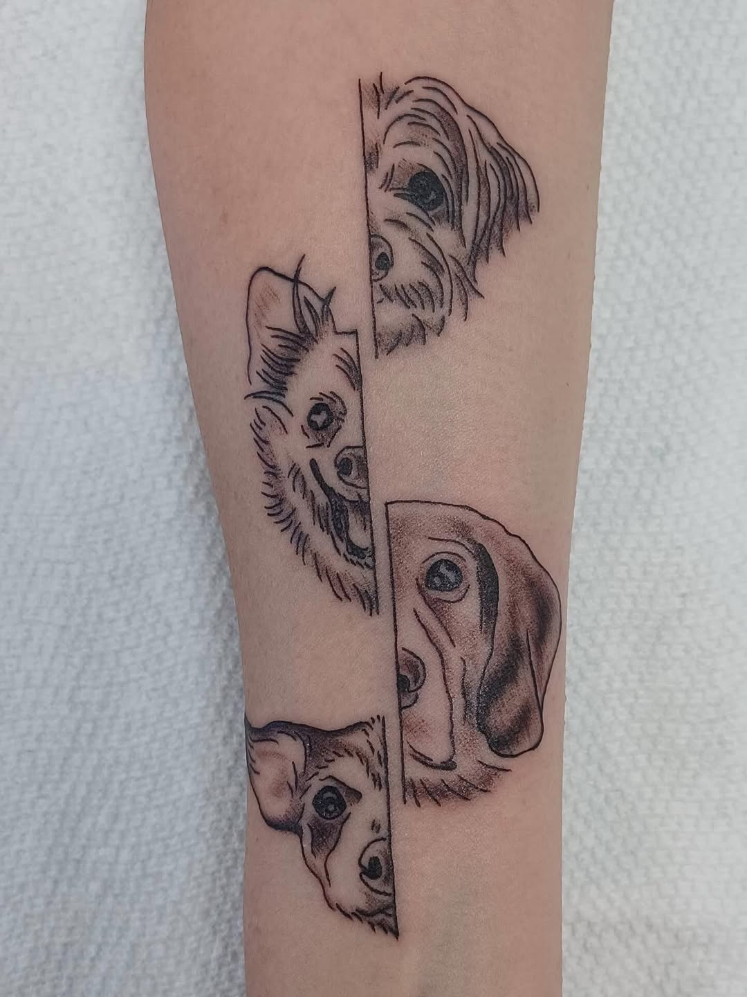 Tattoo by @stabinks — black_and_grey