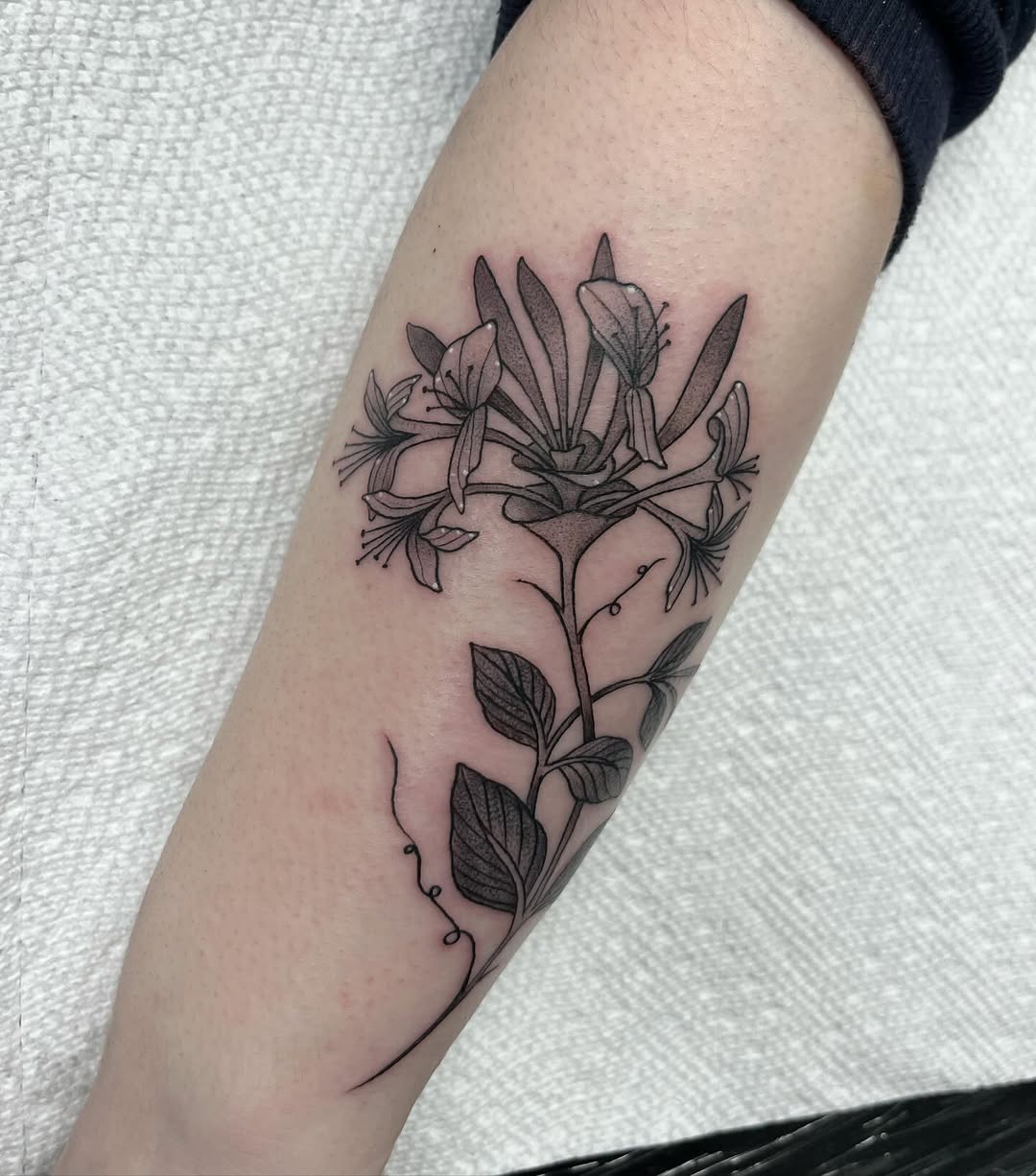 Tattoo by @the.ink.vvitch — fine_line, black_and_grey