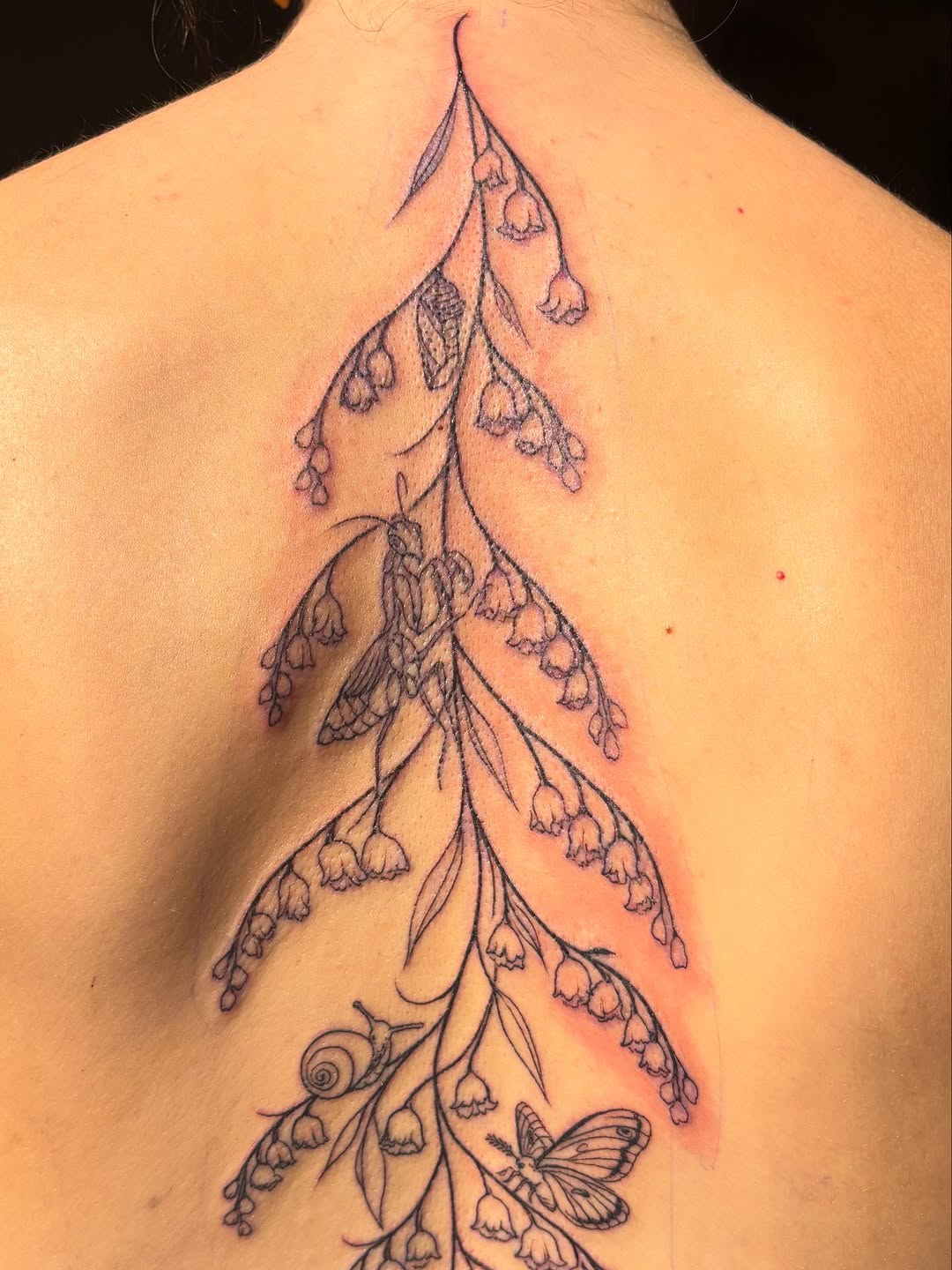 Tattoo by @kathleentattoos — fine_line