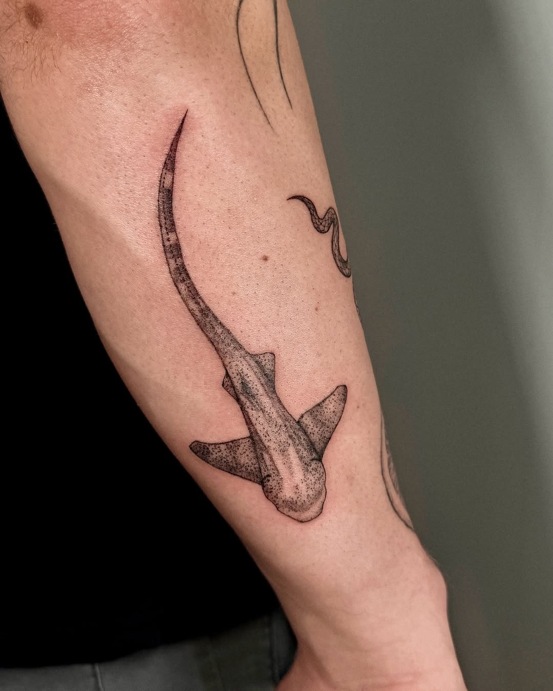 Tattoo by @rachelle.inks โ dotwork, illustrative