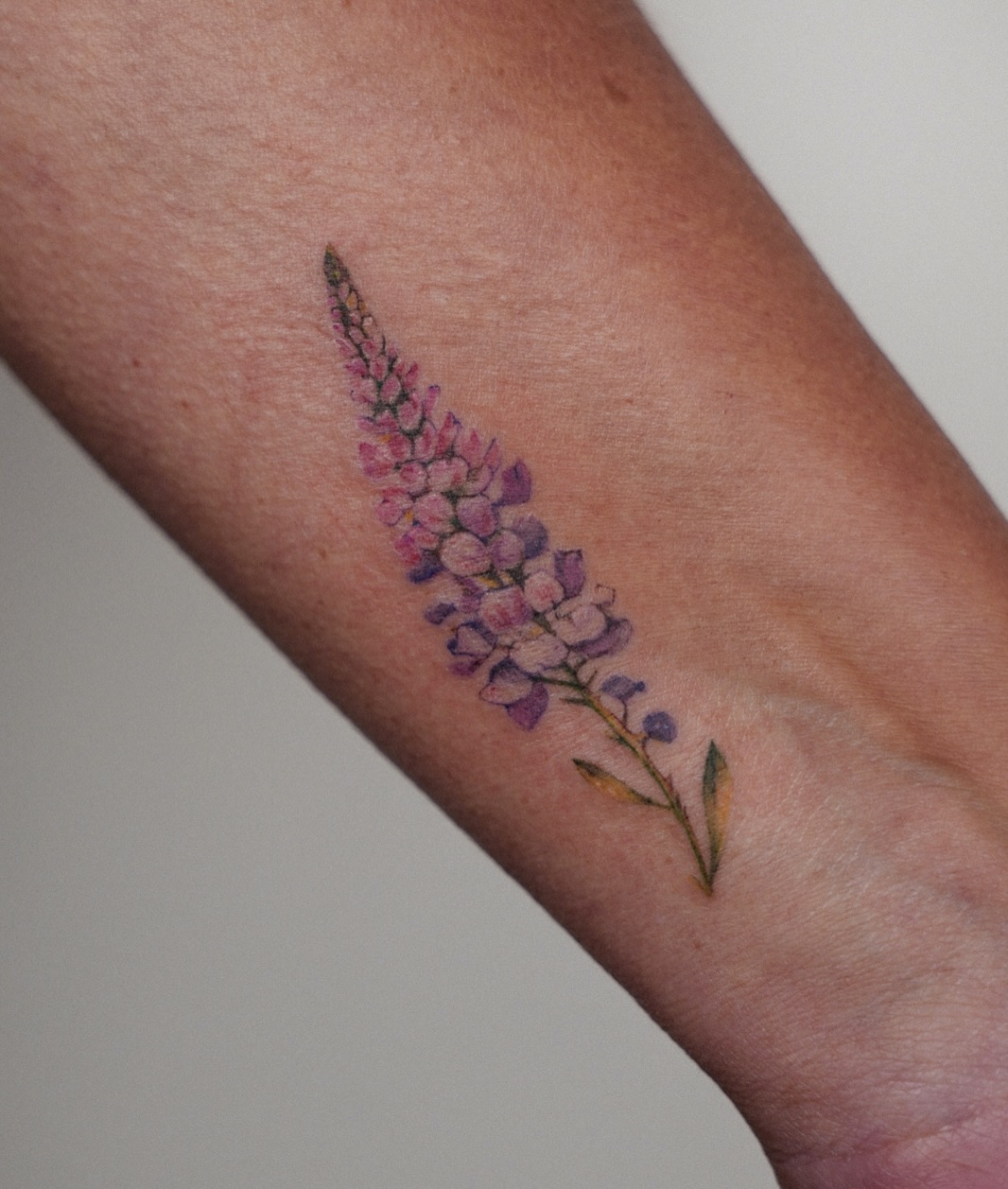 Tattoo by @hellymarch_tattoo โ fine_line, realism