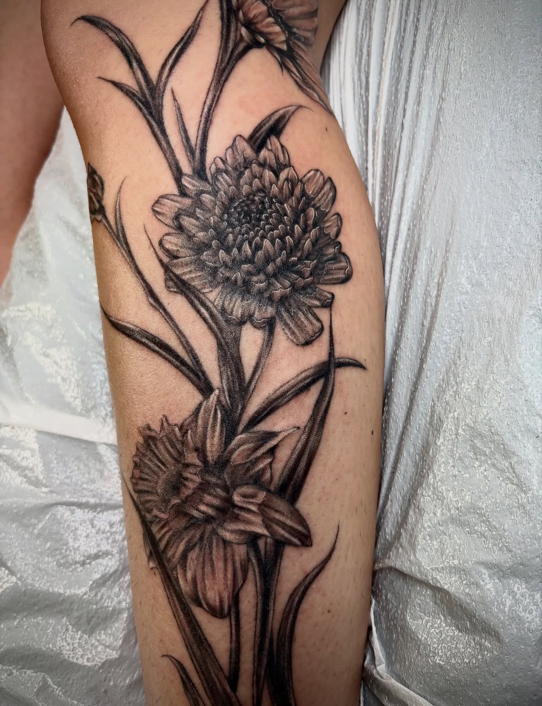Tattoo by @aves_inks — black_and_grey, realism