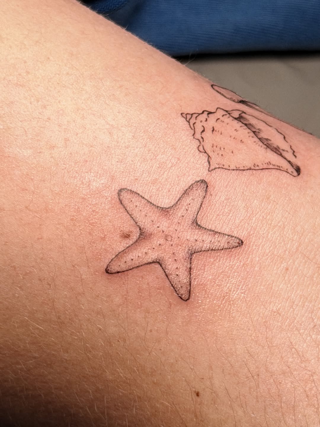 Tattoo by @rachelle.inks โ illustrative, black_and_grey