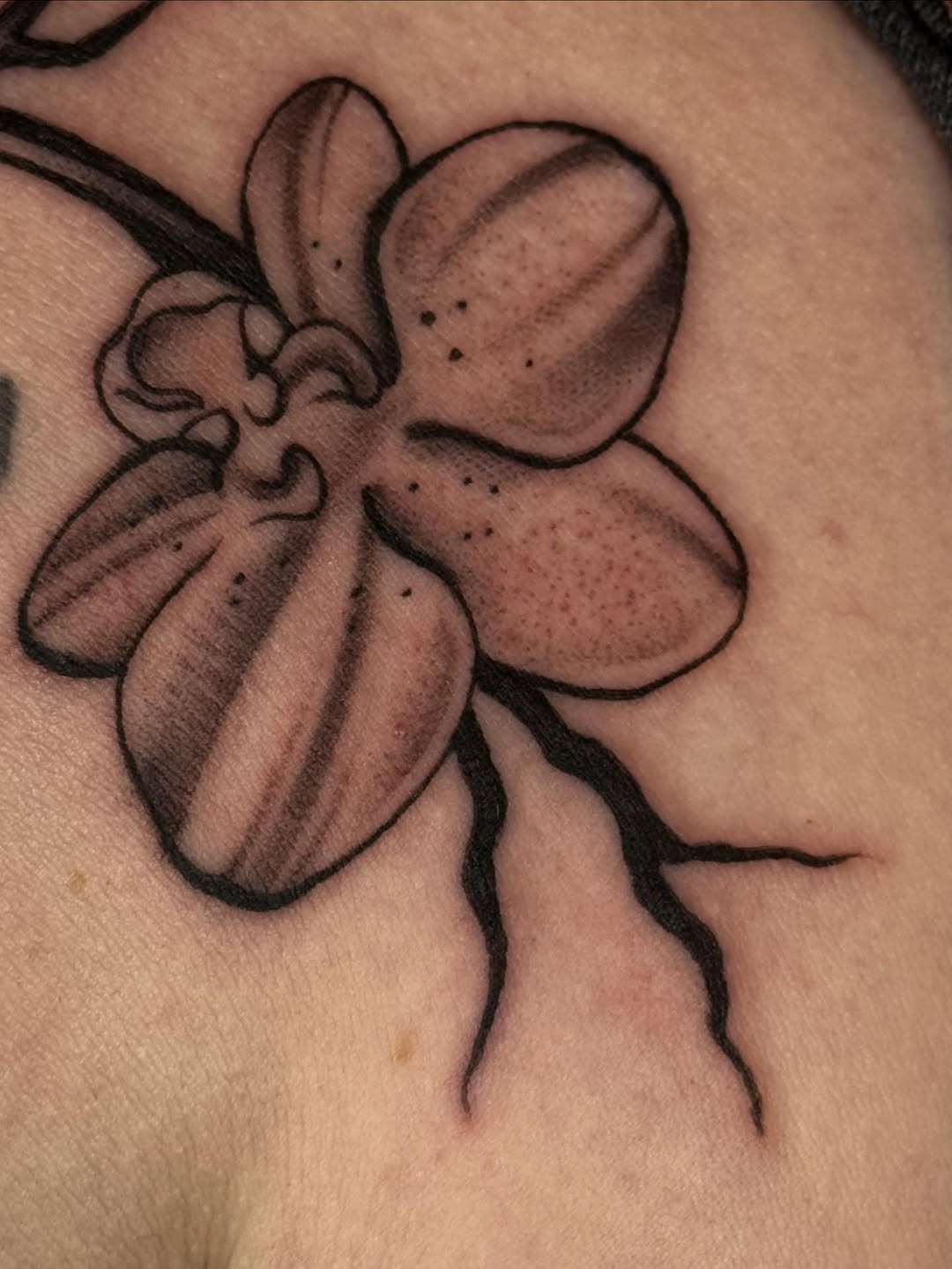 Tattoo by @justina.tattoos — illustrative, black_and_grey