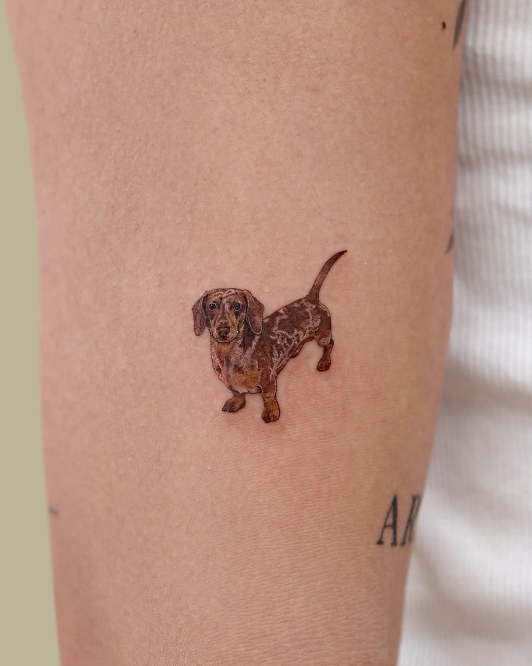 Tattoo by @tattoo.pencil — realism, fine_line