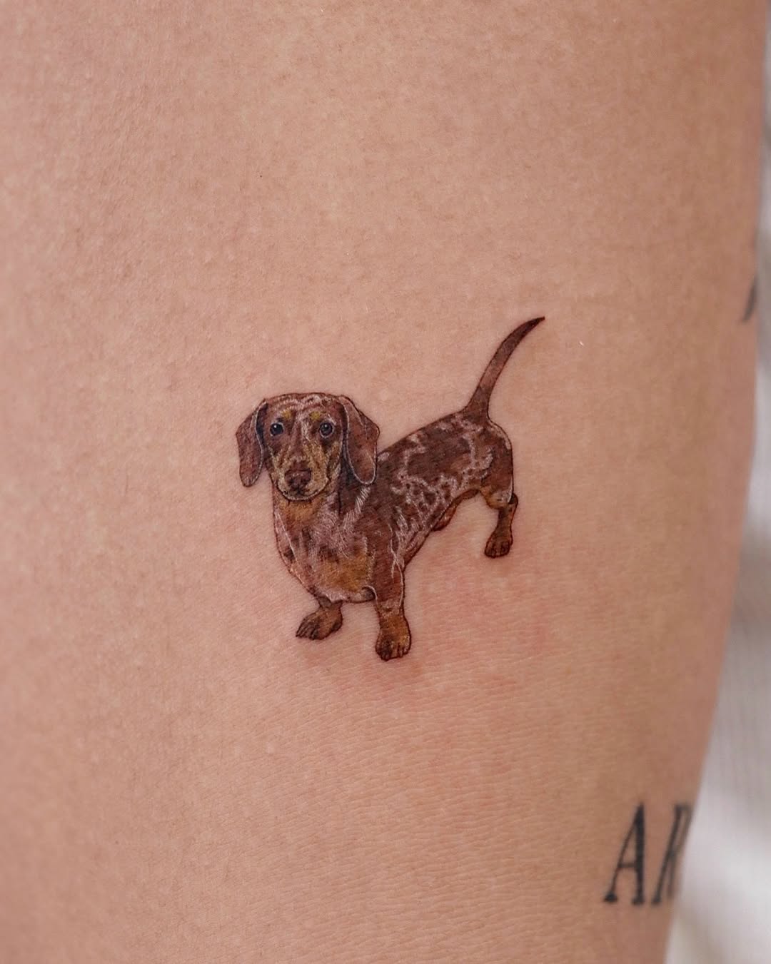 Tattoo by @tattoo.pencil — realism, fine_line