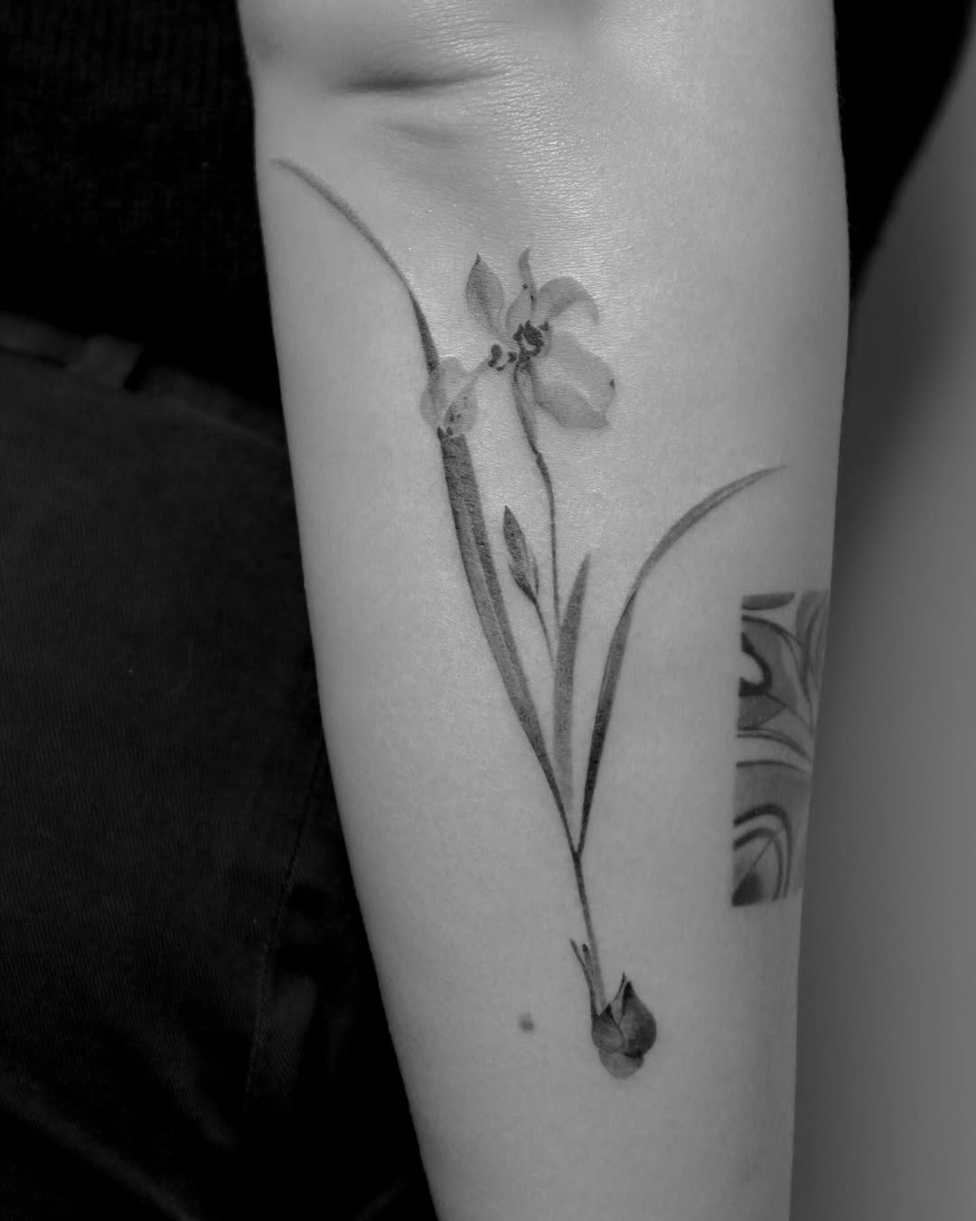Tattoo by @rivdttt β fine_line, realism