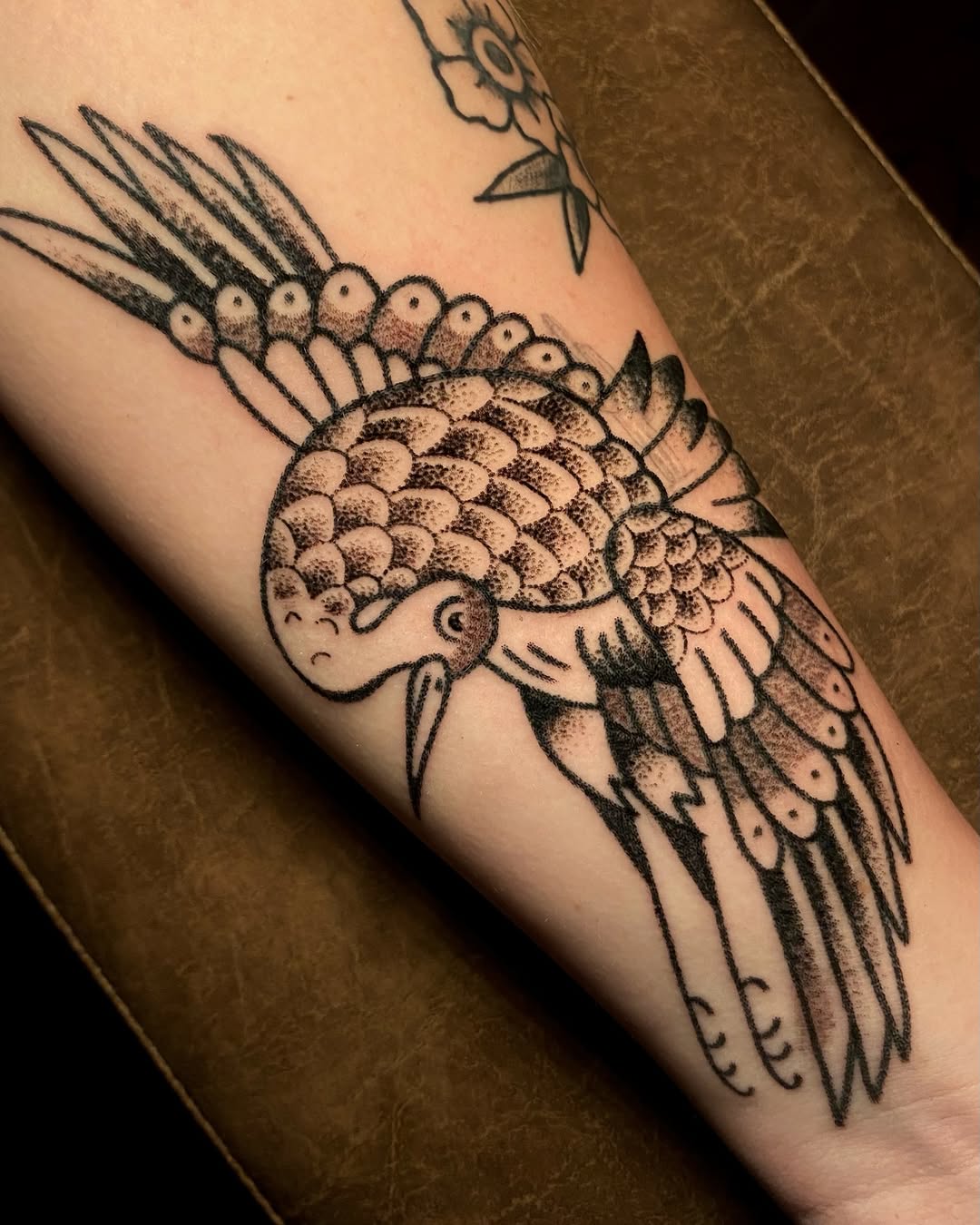 Tattoo by @cluelesstattoos — american_traditional, dotwork