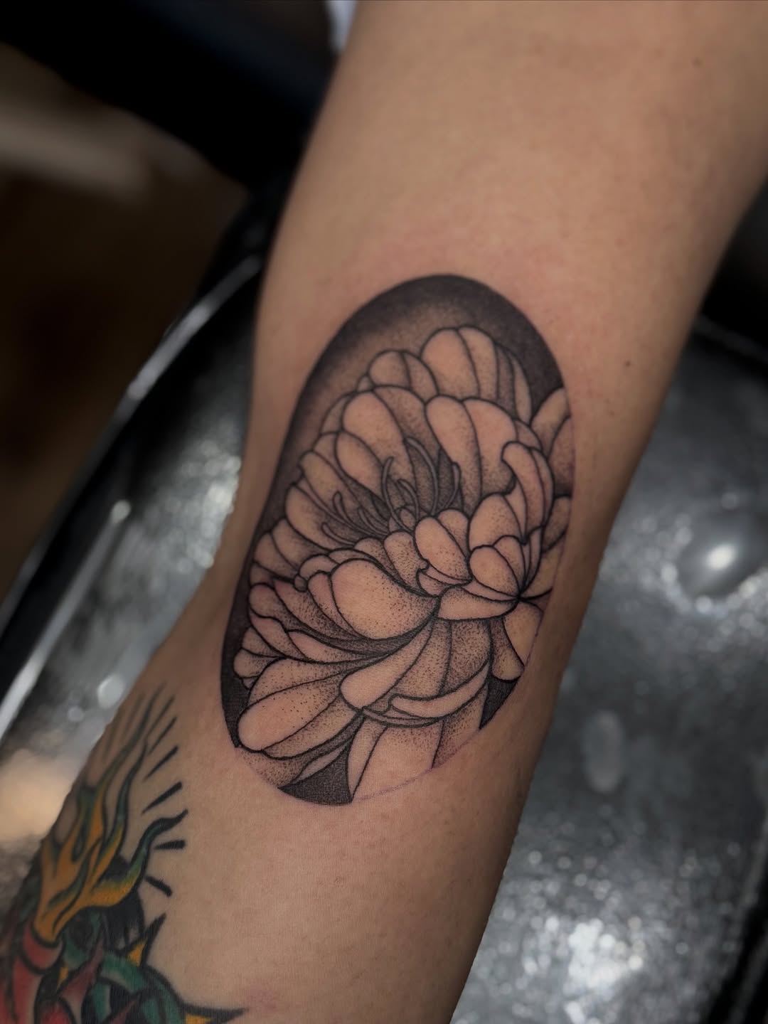 Tattoo by @porcelain_tats — dotwork, black_and_grey