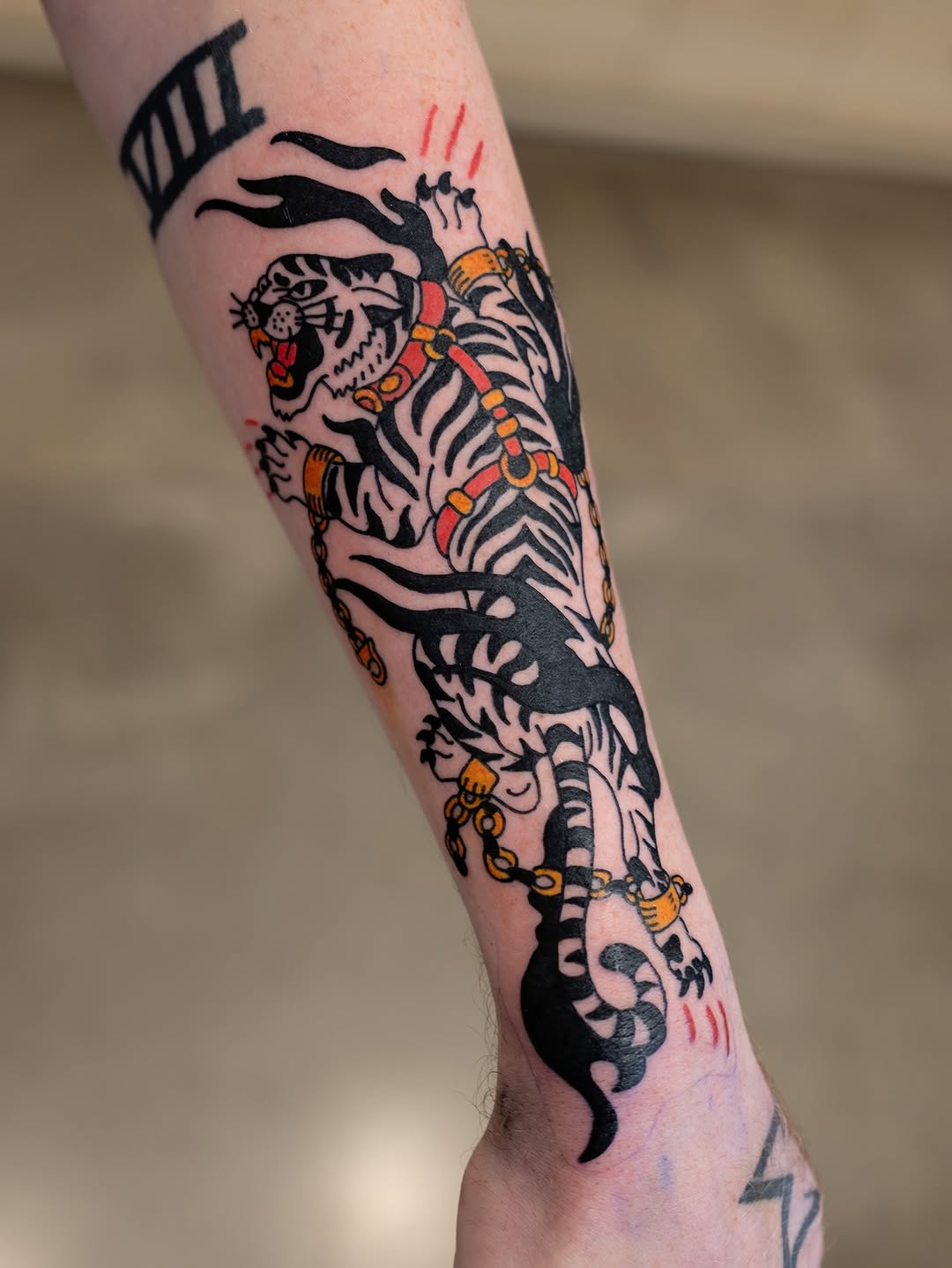 Tattoo by @sadcattattoo — american_traditional