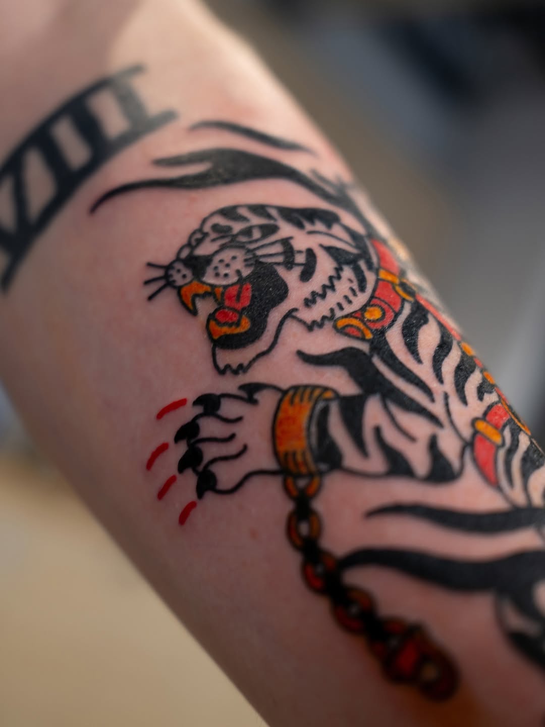 Tattoo by @sadcattattoo — american_traditional