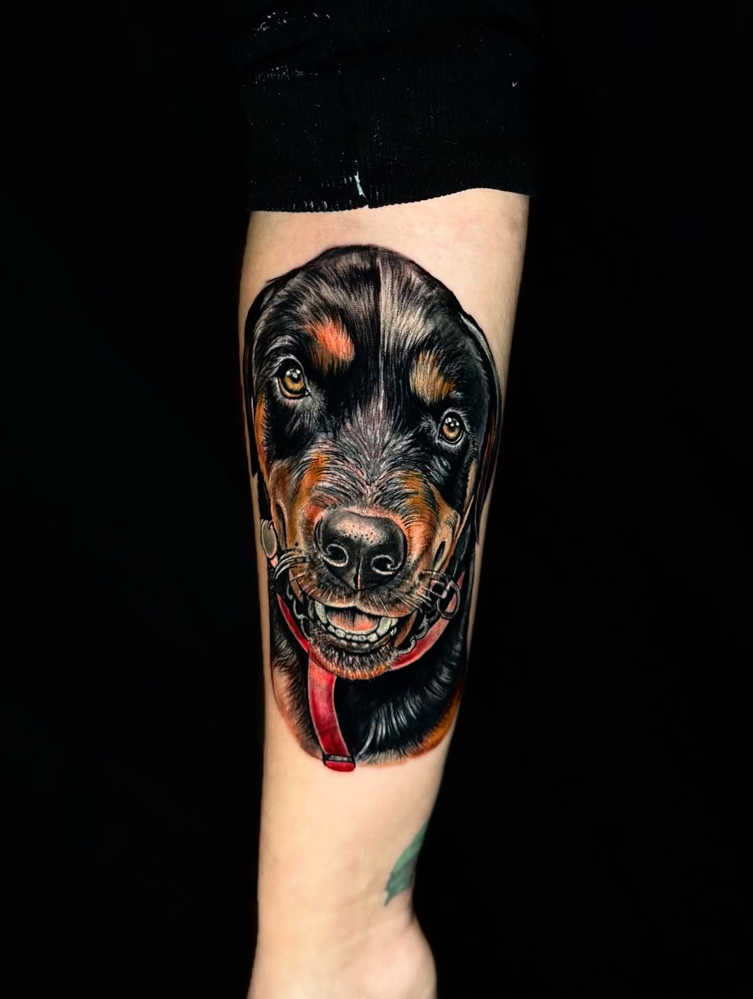 Tattoo by @georgiannaink โ realism, illustrative