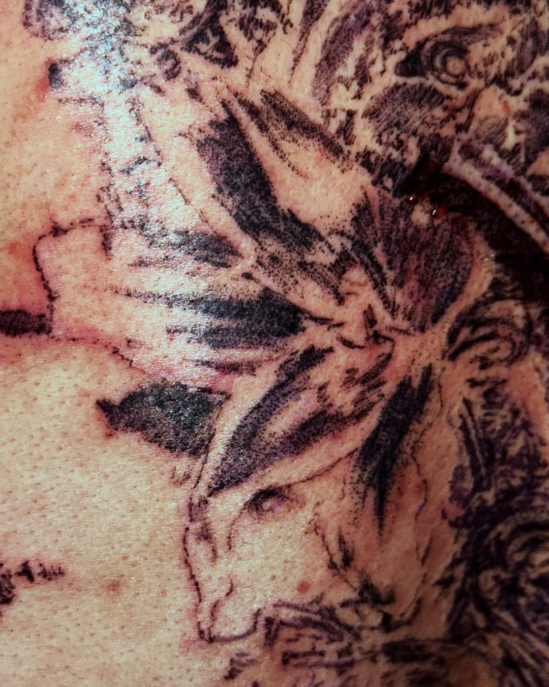 Tattoo by @douohv — black_and_grey, realism