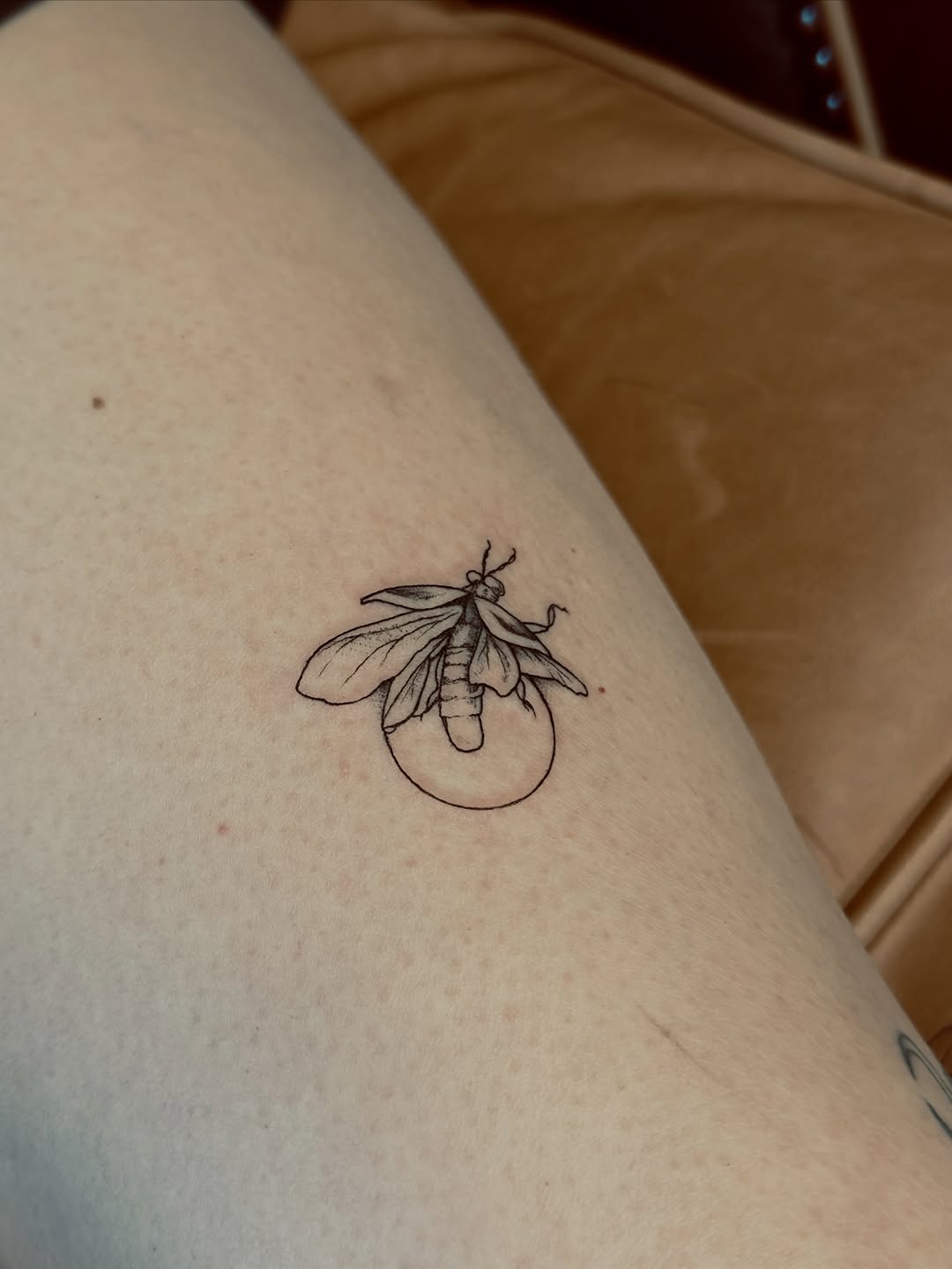 Tattoo by @tattoos.by.ping — fine_line, illustrative