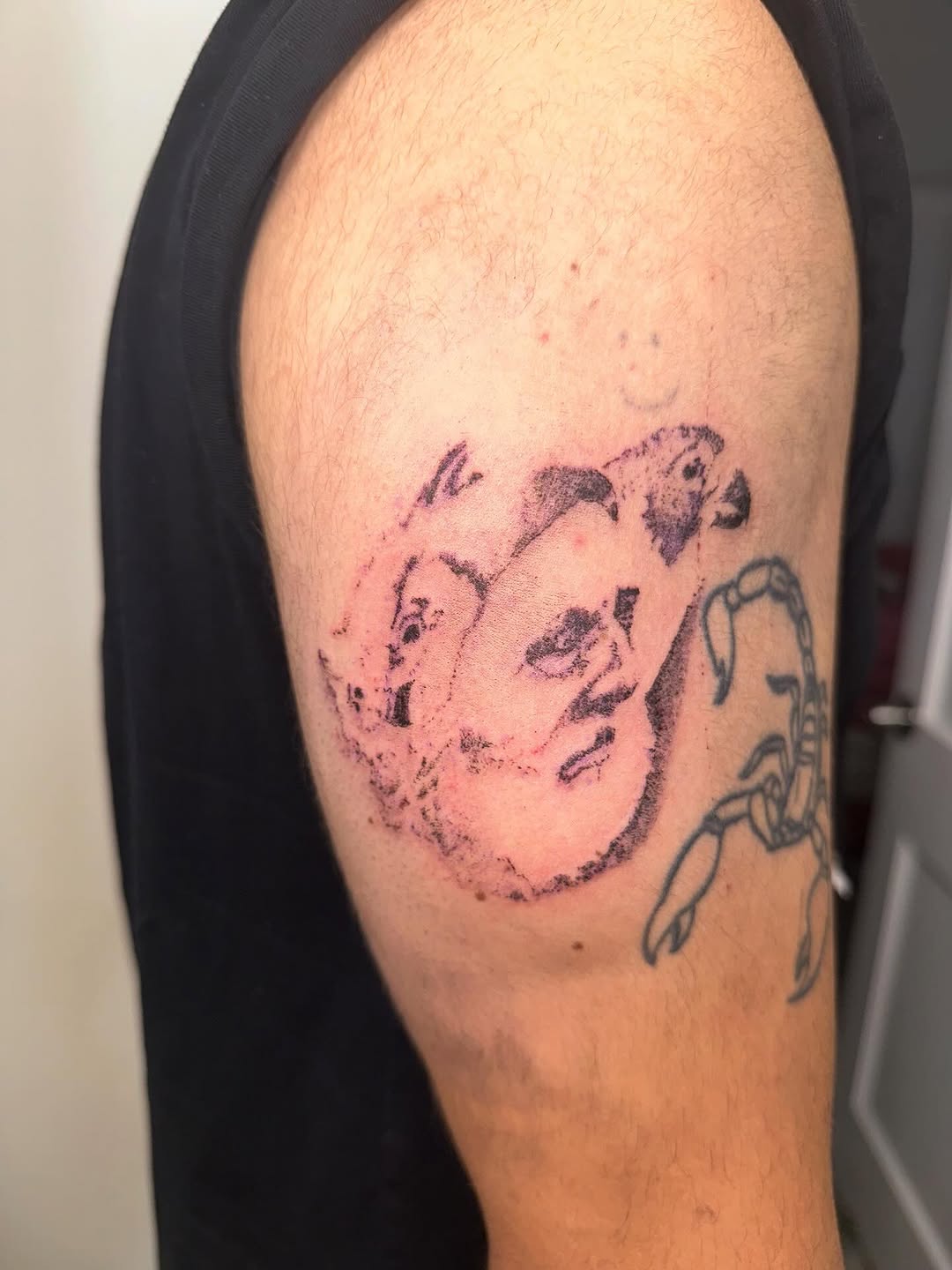 Tattoo by @skullyskinstitch — sketch