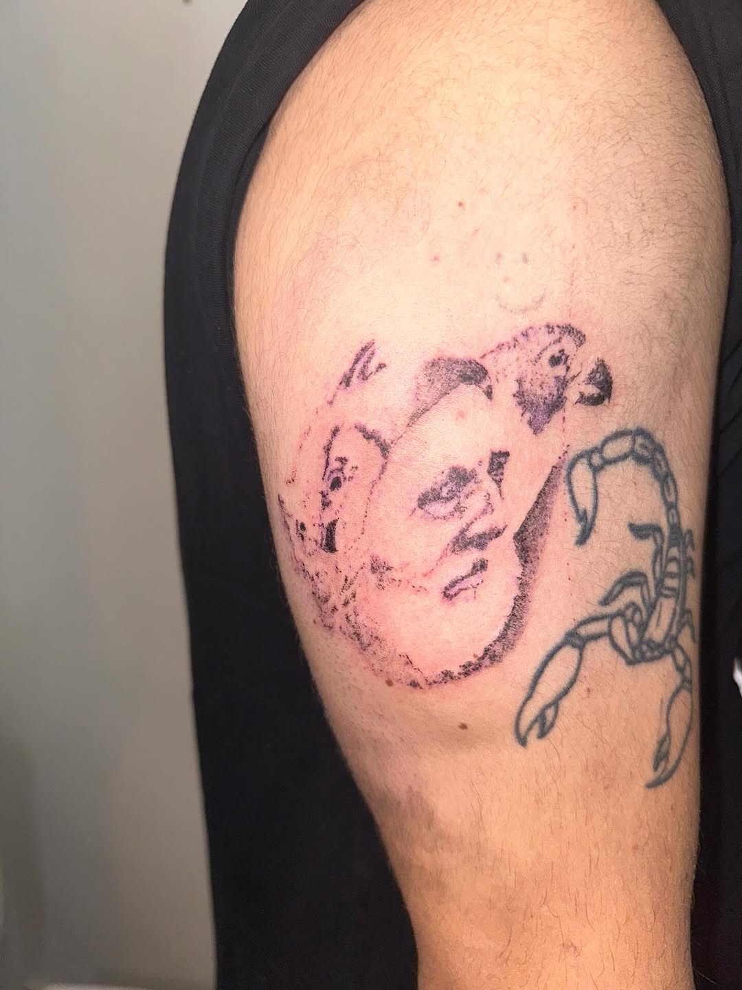 Tattoo by @skullyskinstitch — illustrative