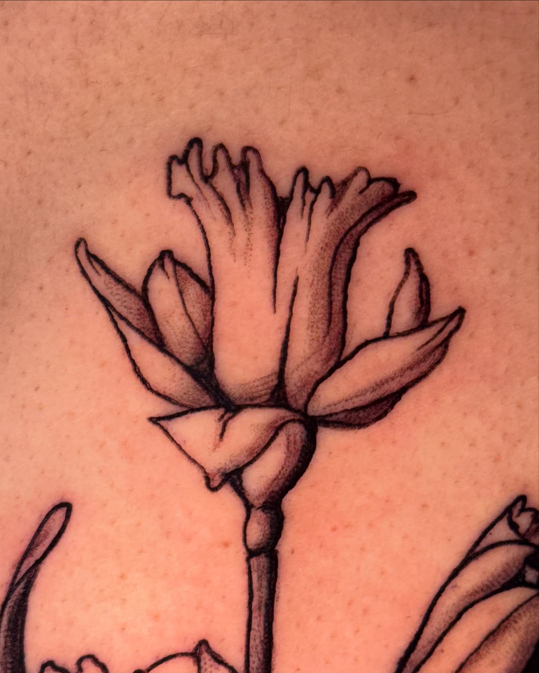 Tattoo by @patternfreak — black_and_grey, realism